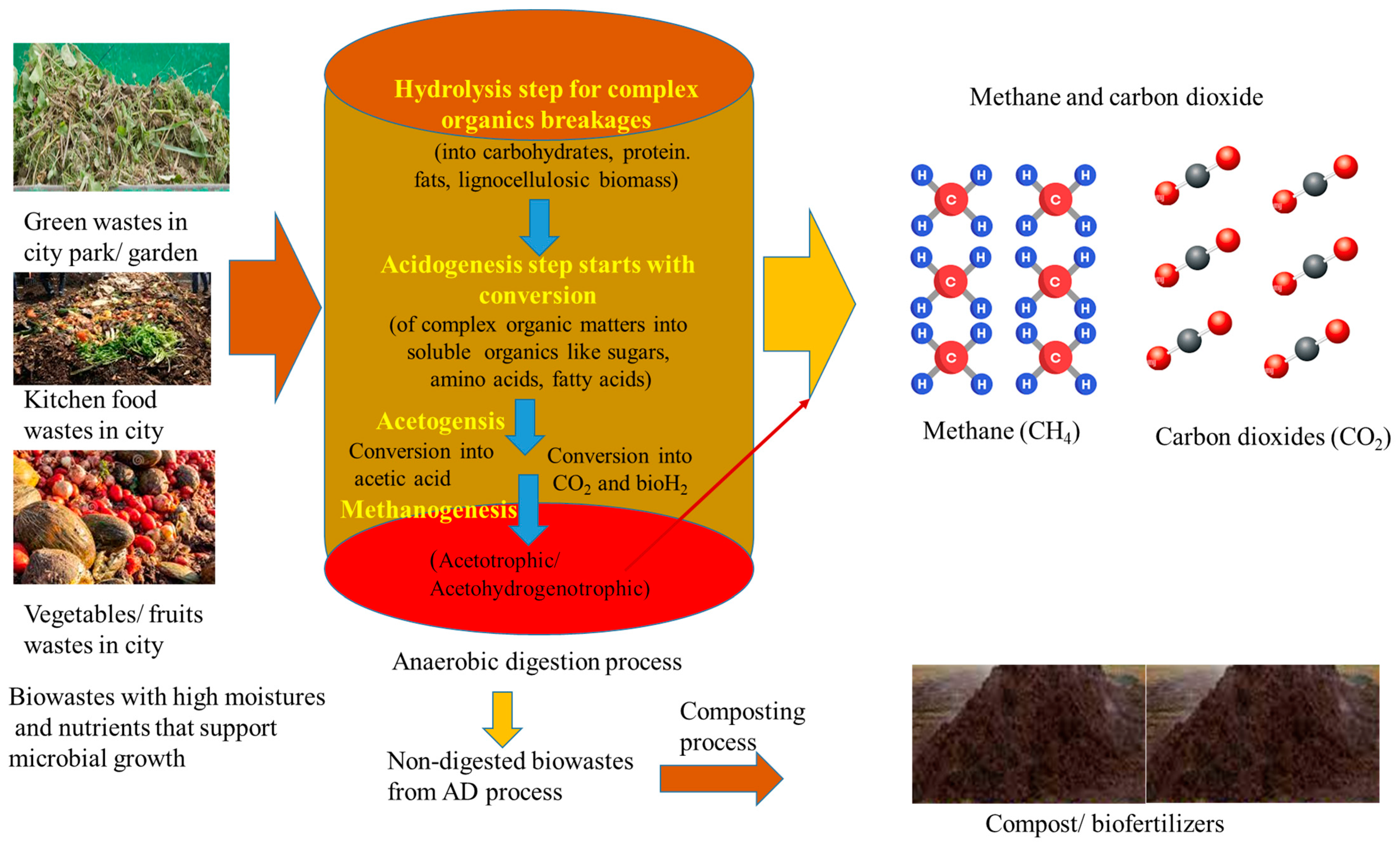 Sustainability 15 12737 g005