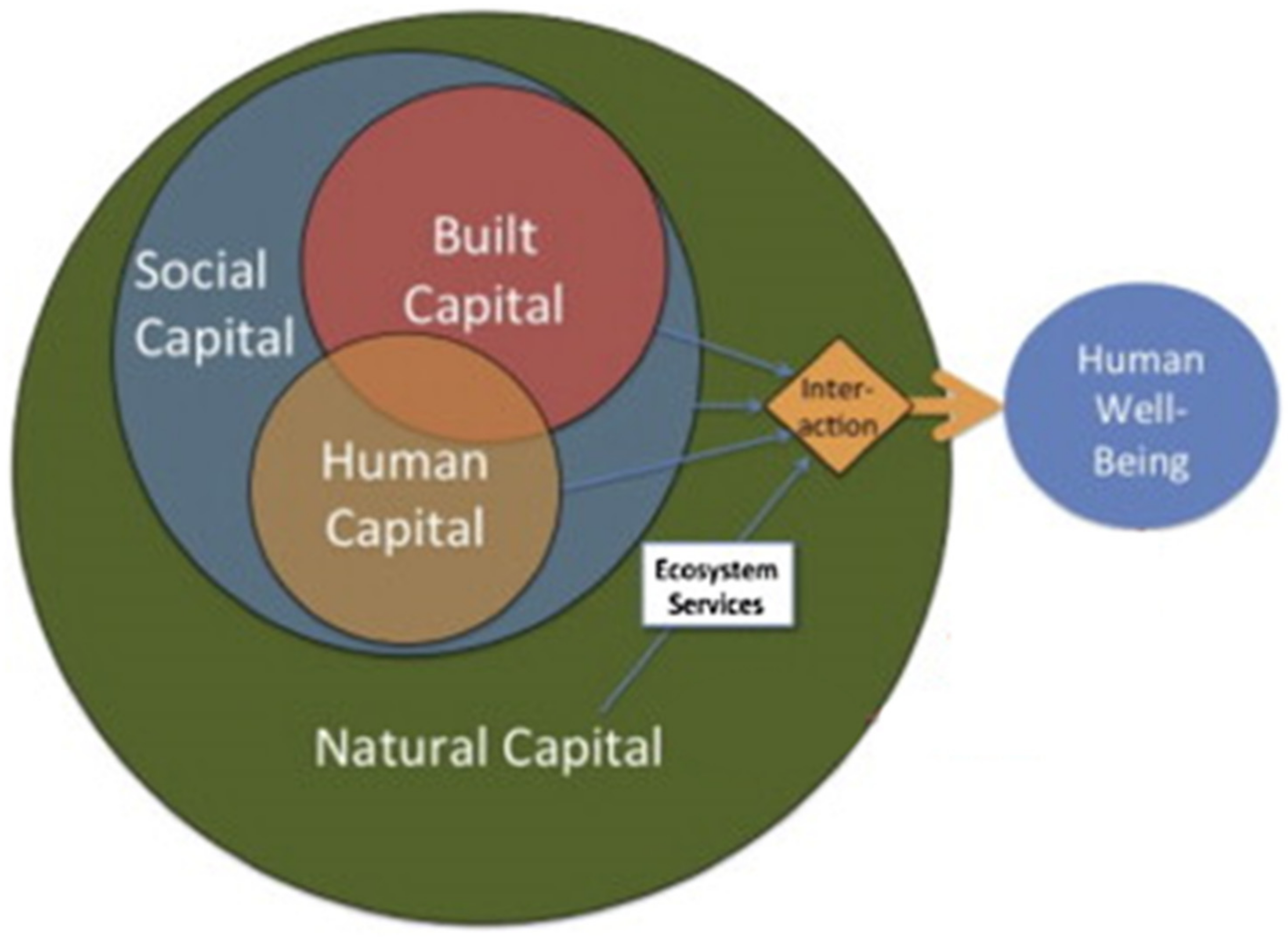 Sustainability 15 12861 g002