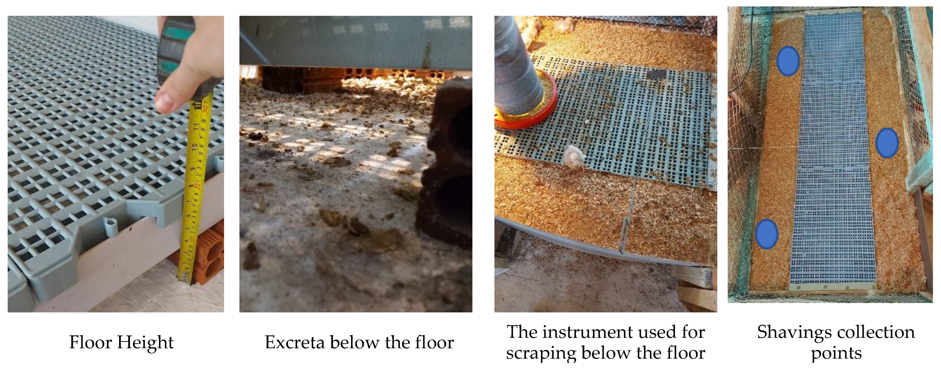 Sustainability 15 12896 g002 Sustainability 15 12896 g002