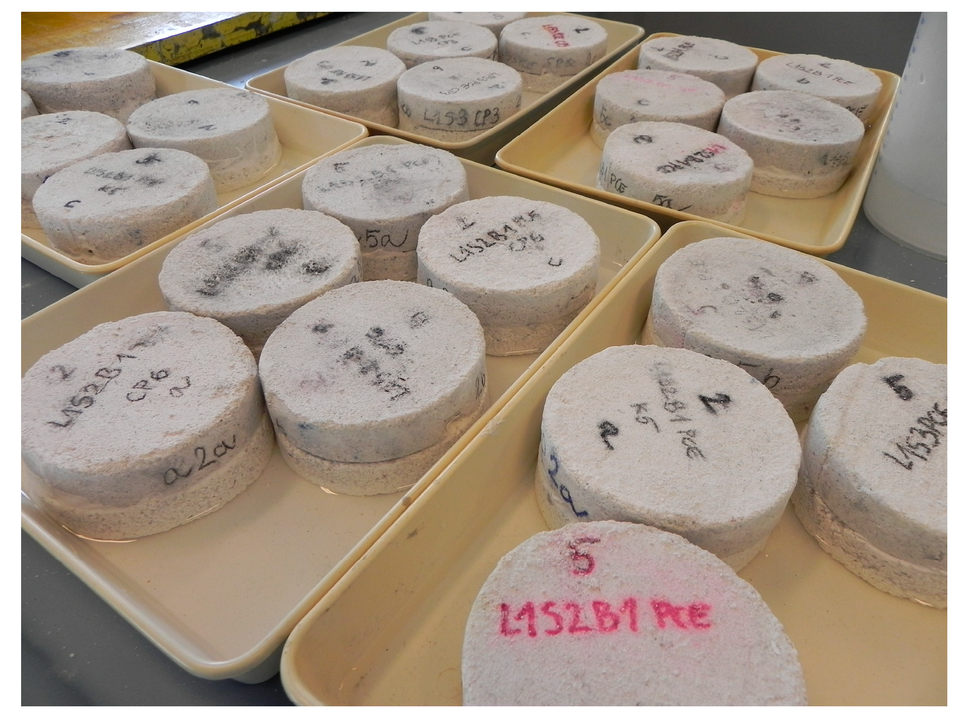 Sustainability 15 12903 g005