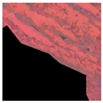 Sustainability 15 12931 i023