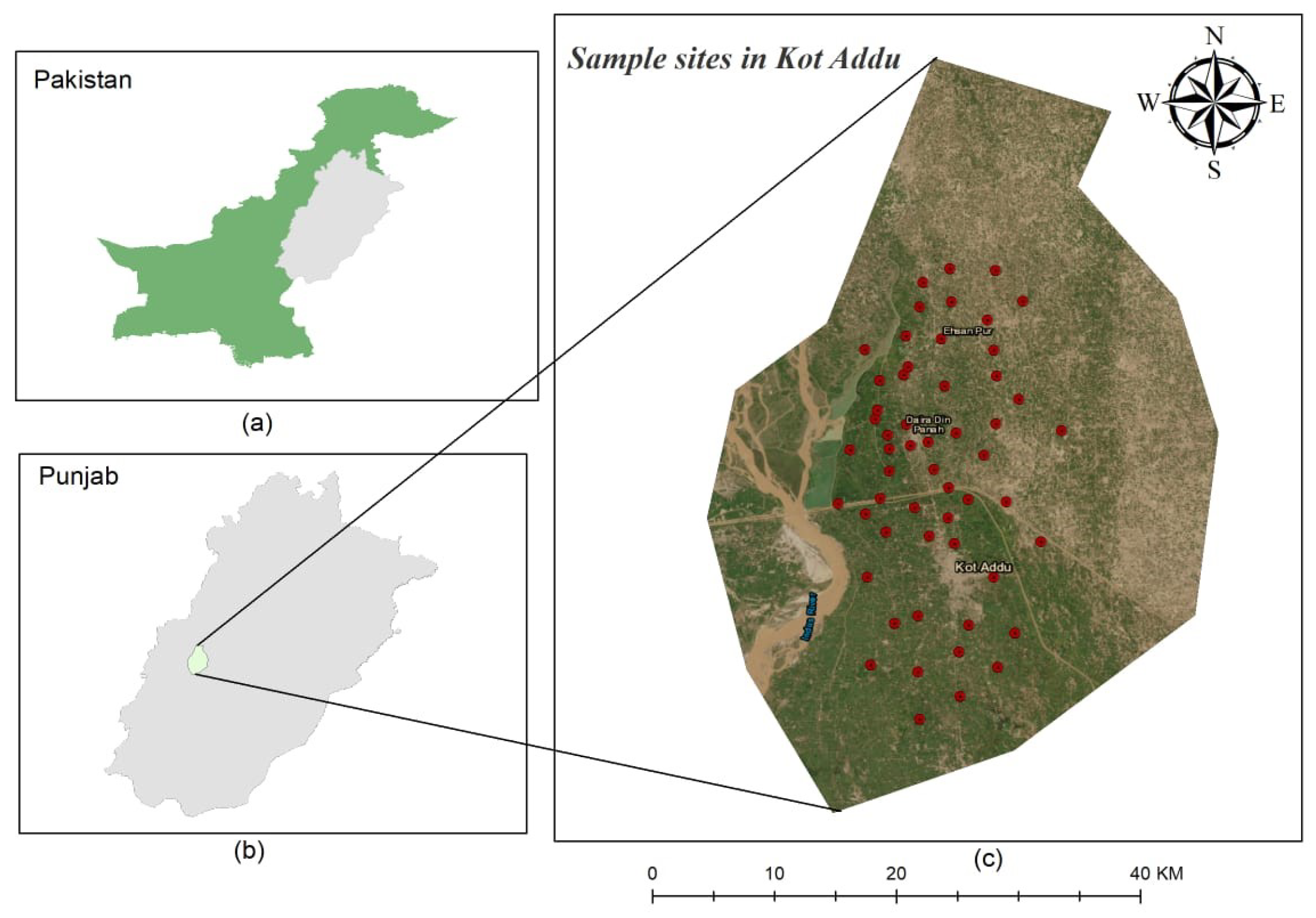 Sustainability 15 12943 g001