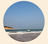 Sustainability 15 13238 i003