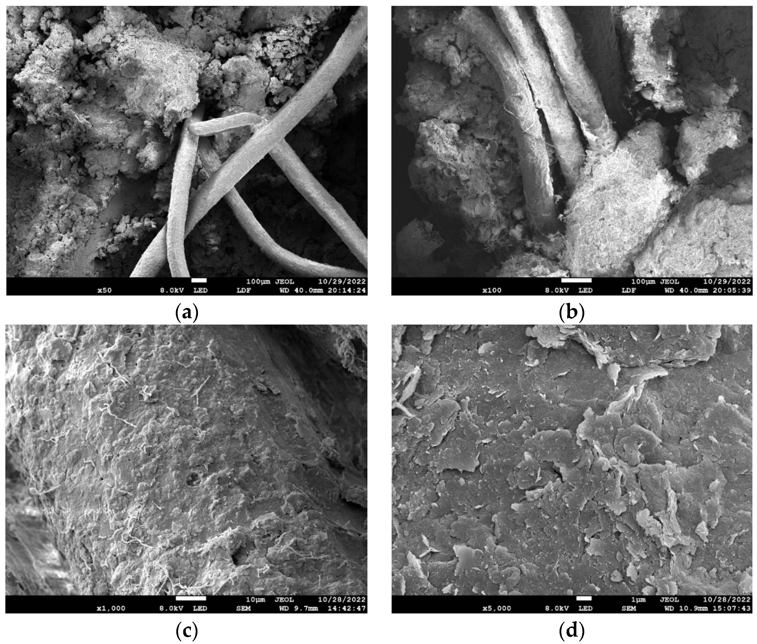 Sustainability 15 13261 g016