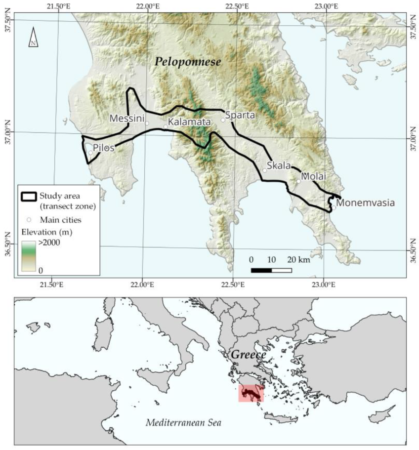 Sustainability 15 13266 g002