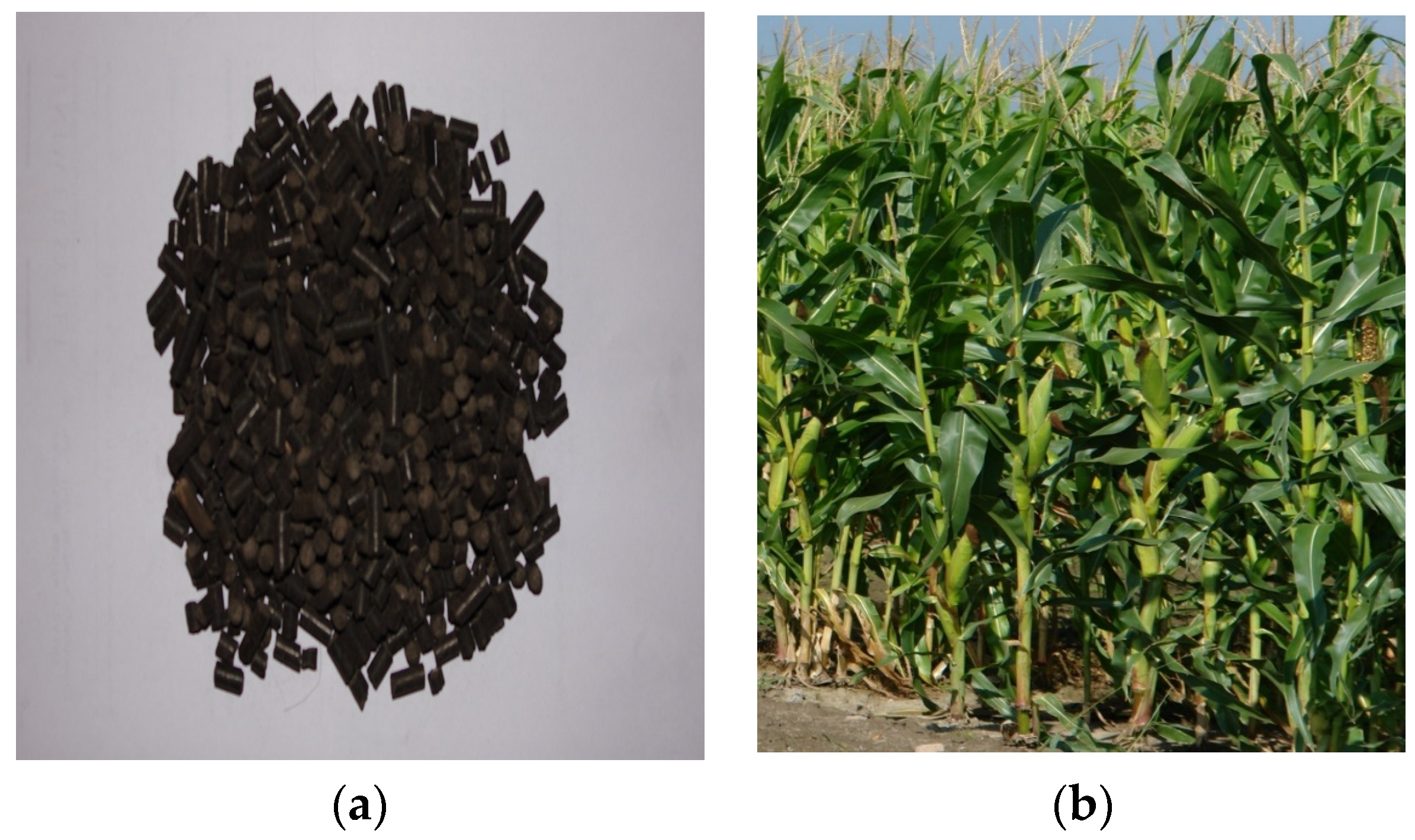 Sustainability 15 13371 g008