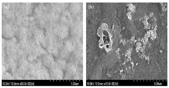 Sustainability 15 13389 g001