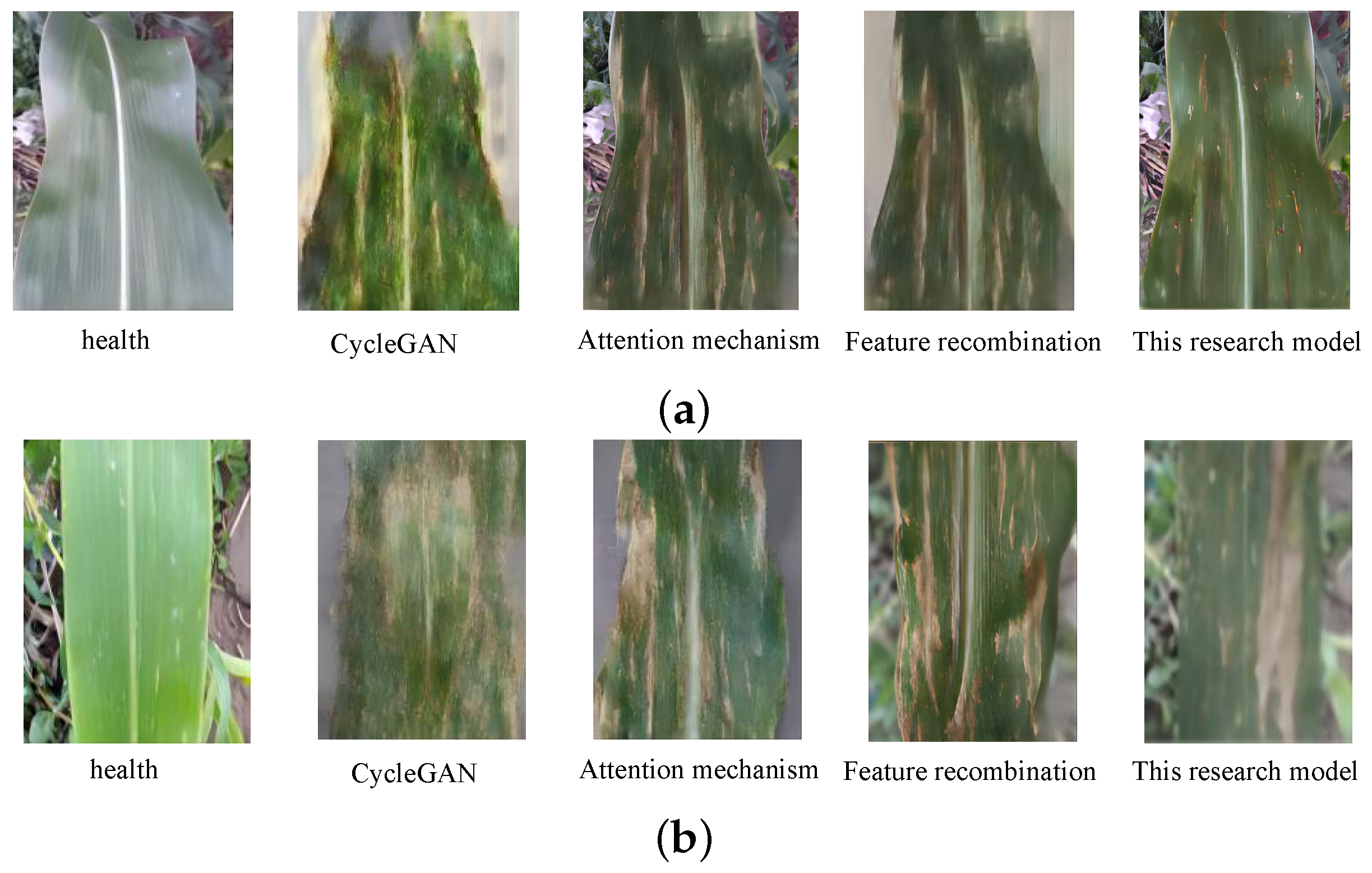 Sustainability 15 13420 g008
