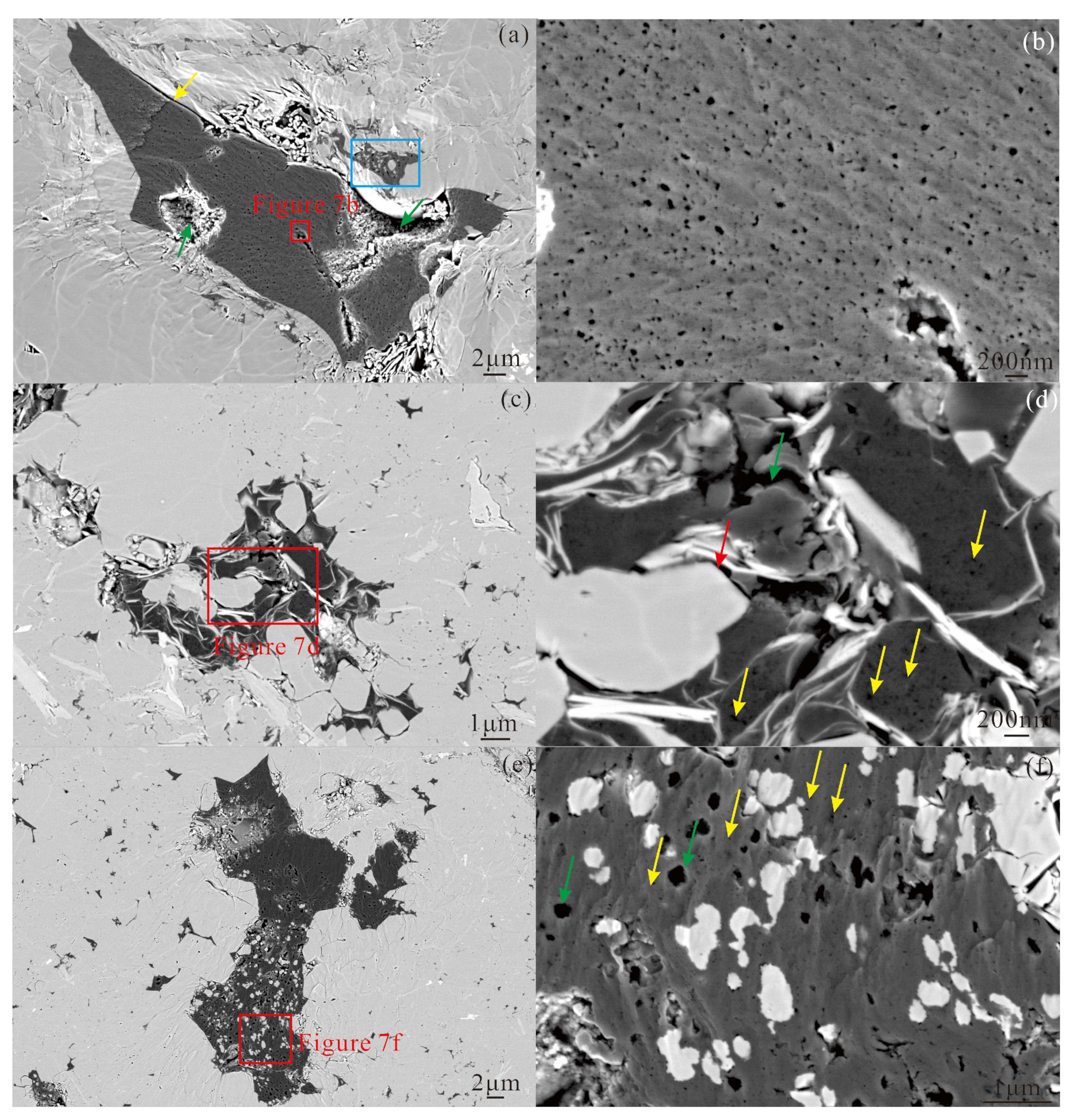 Organic Matter of the Wufeng–Longmaxi Formation Shales Using Scanning ...
