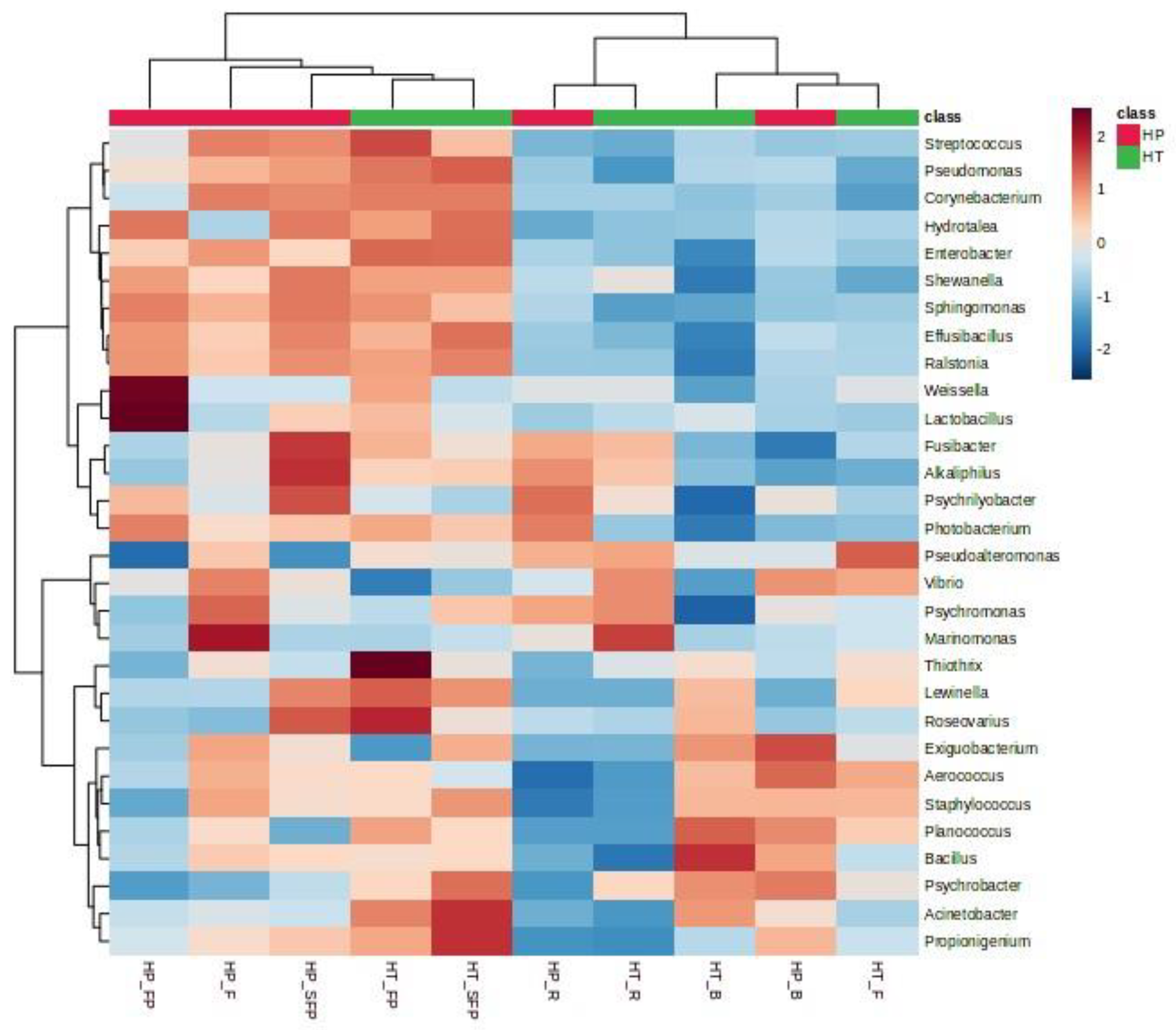 Sustainability 15 13467 g002