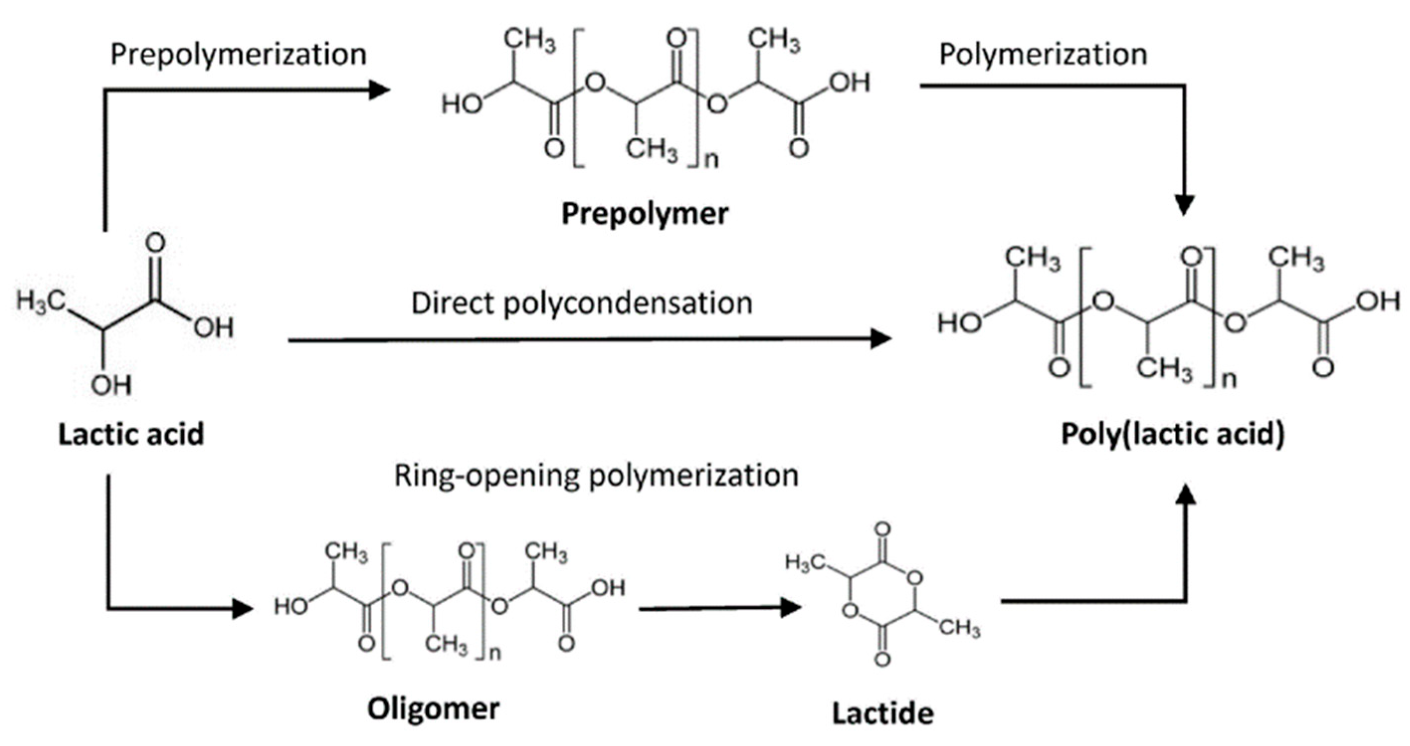 Sustainability 15 13498 g002