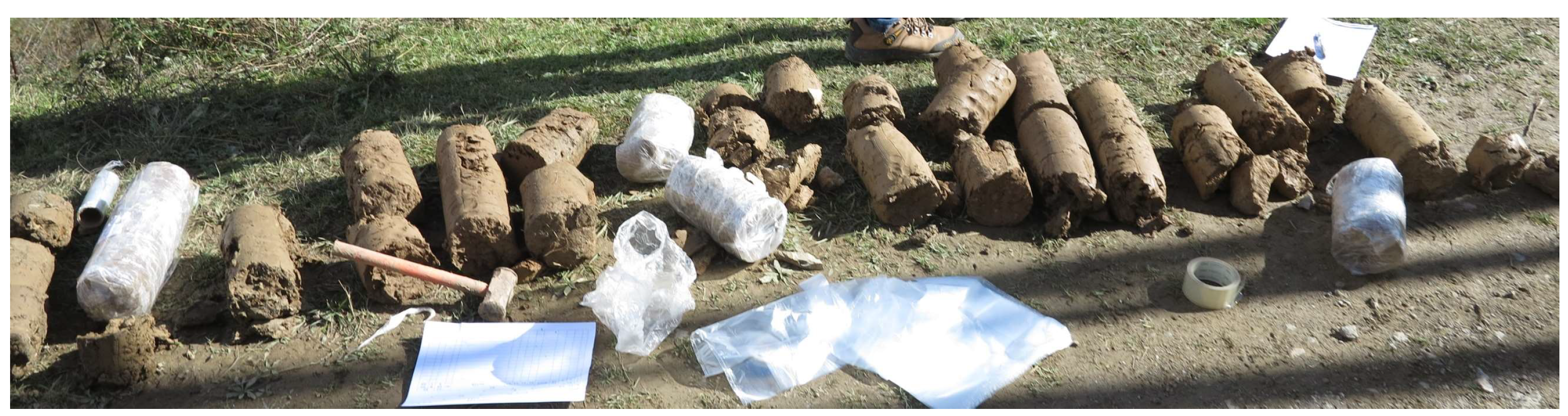 Sustainability 15 13554 g001