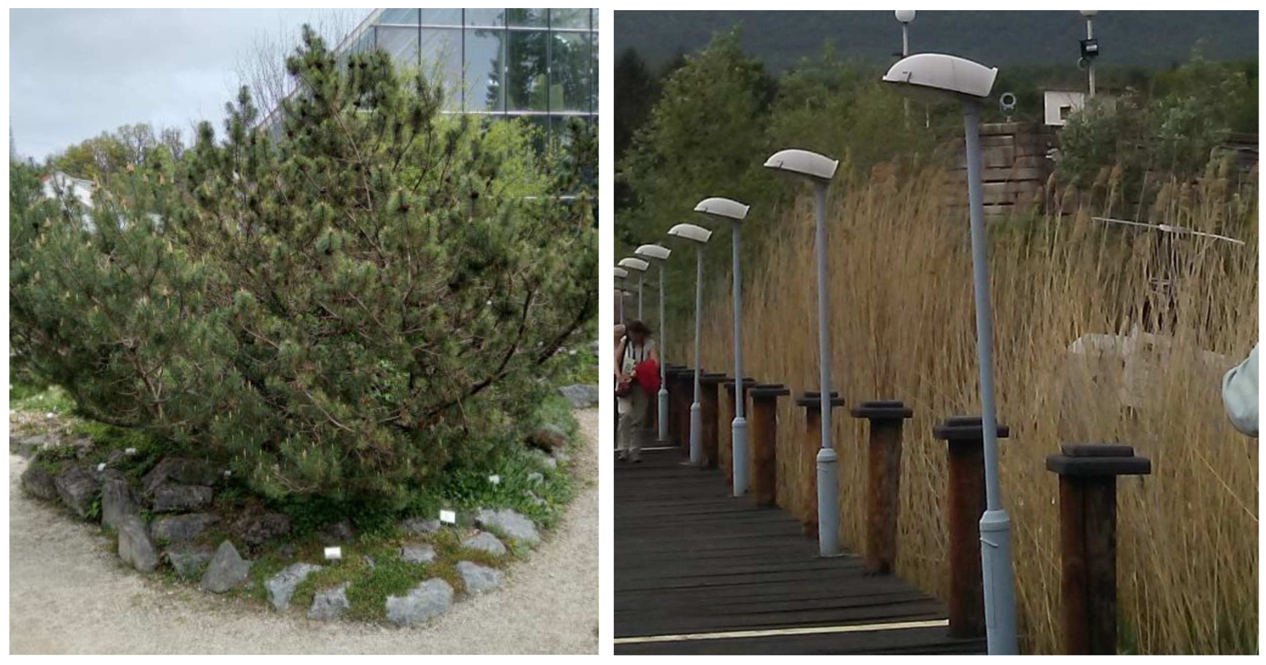 Sustainability 15 13708 g001