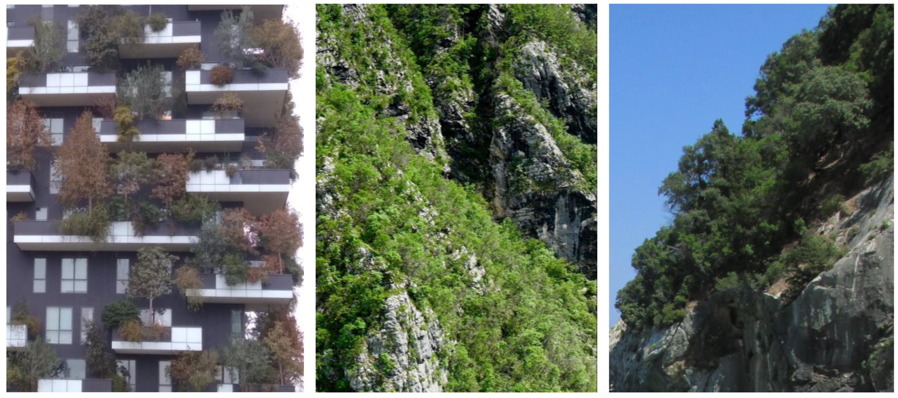 Sustainability 15 13708 g002