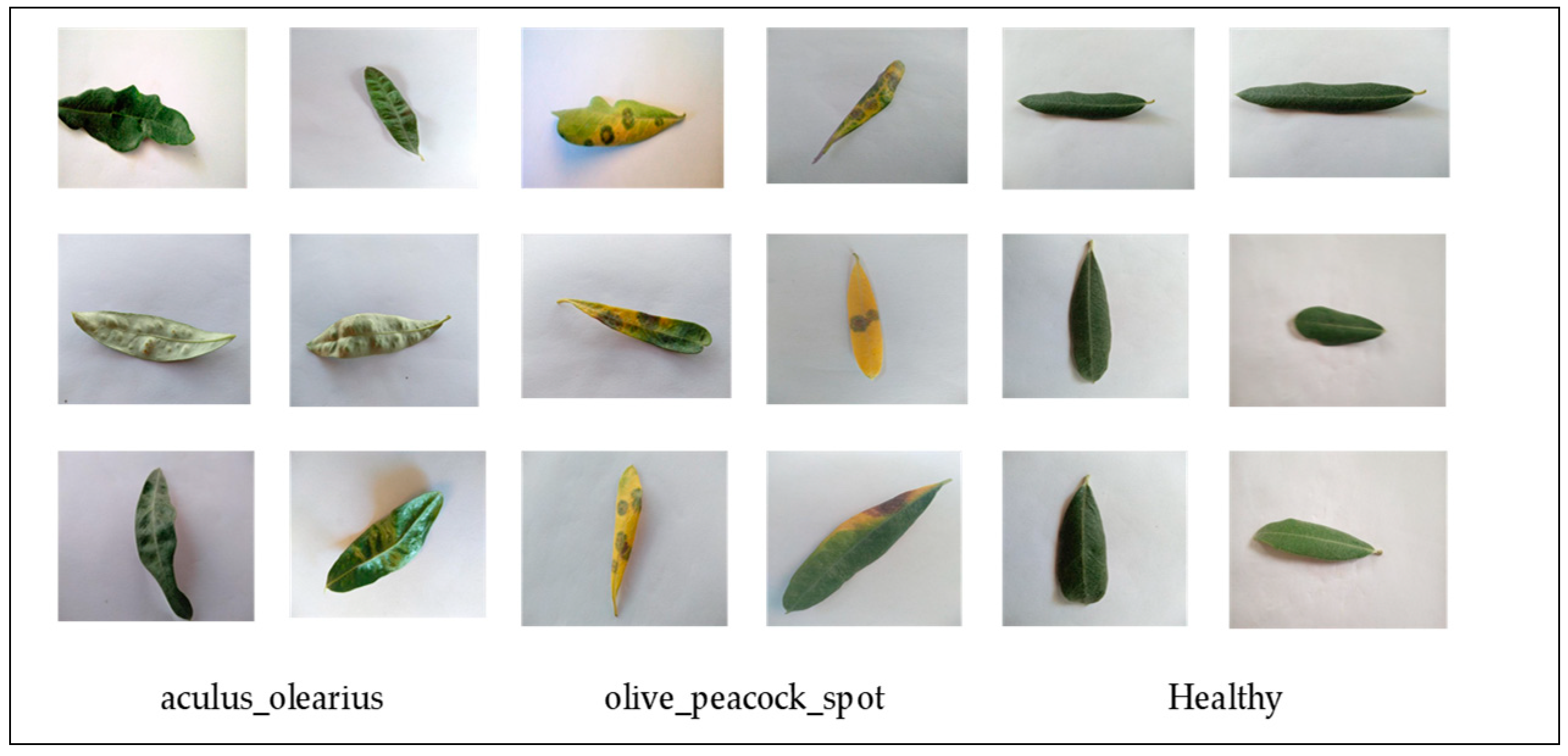 Sustainability 15 13723 g003