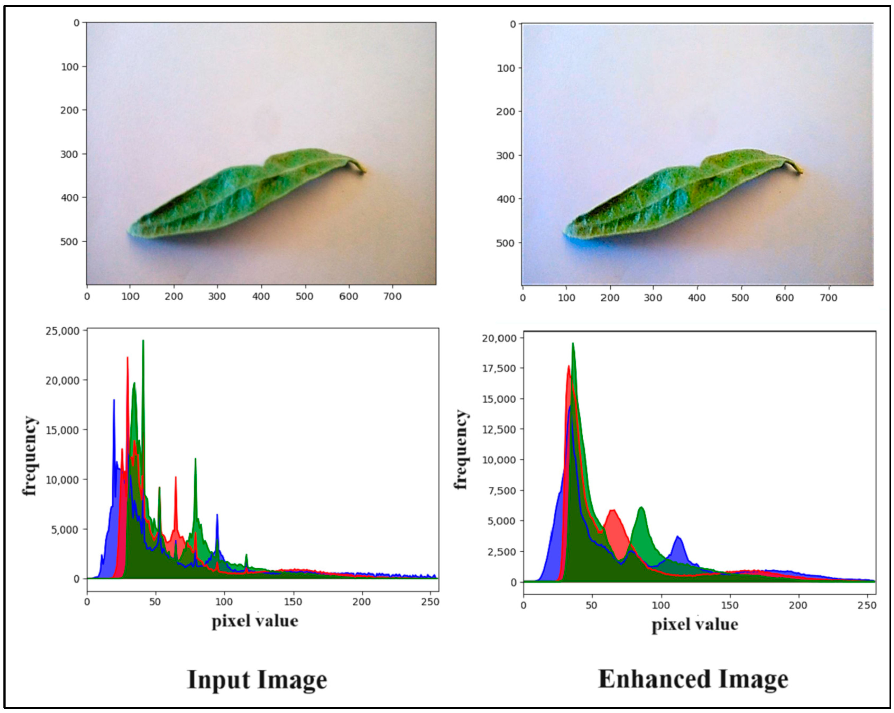 Sustainability 15 13723 g005