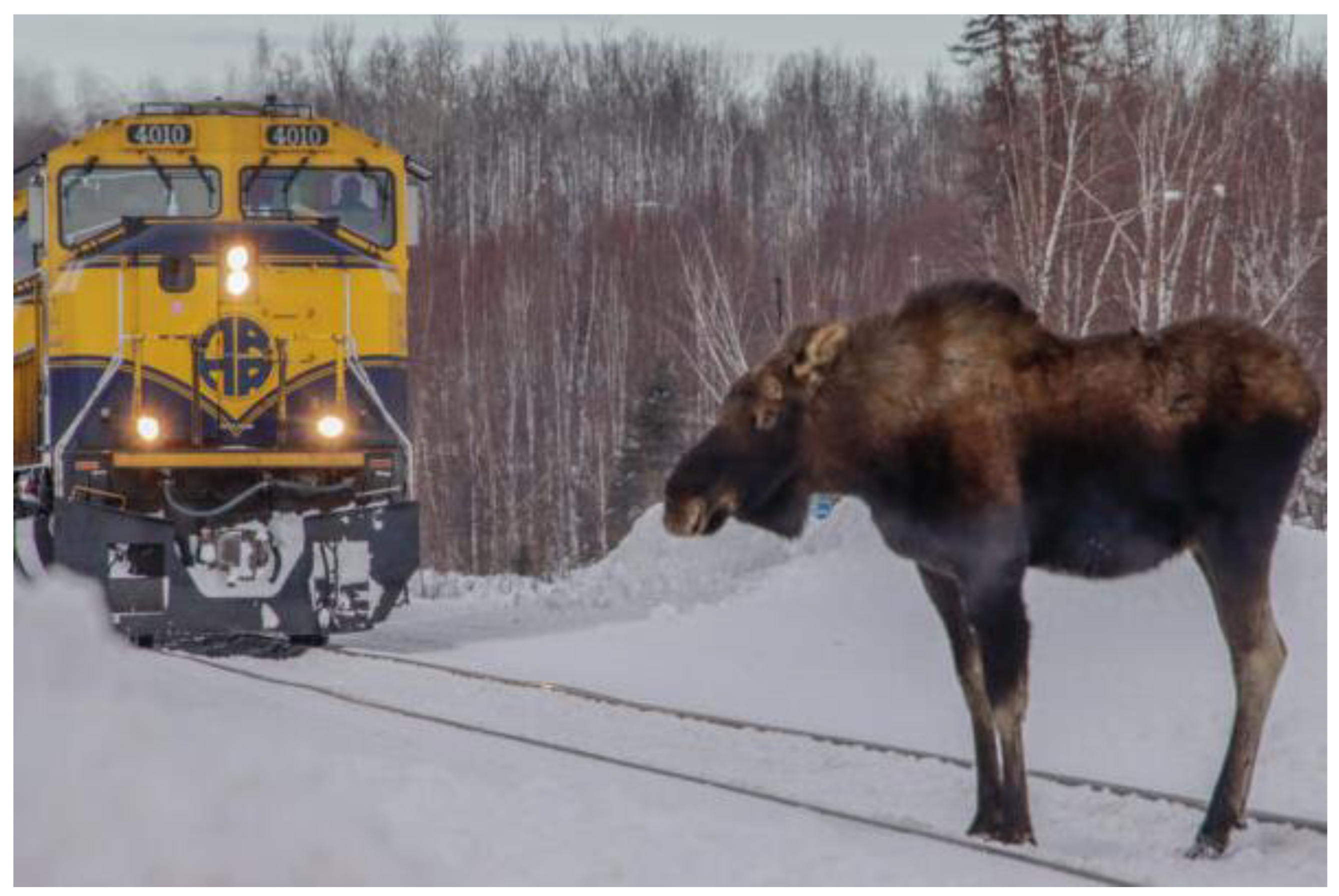 Sustainability 15 13754 g004 Sustainability 15 13754 g004