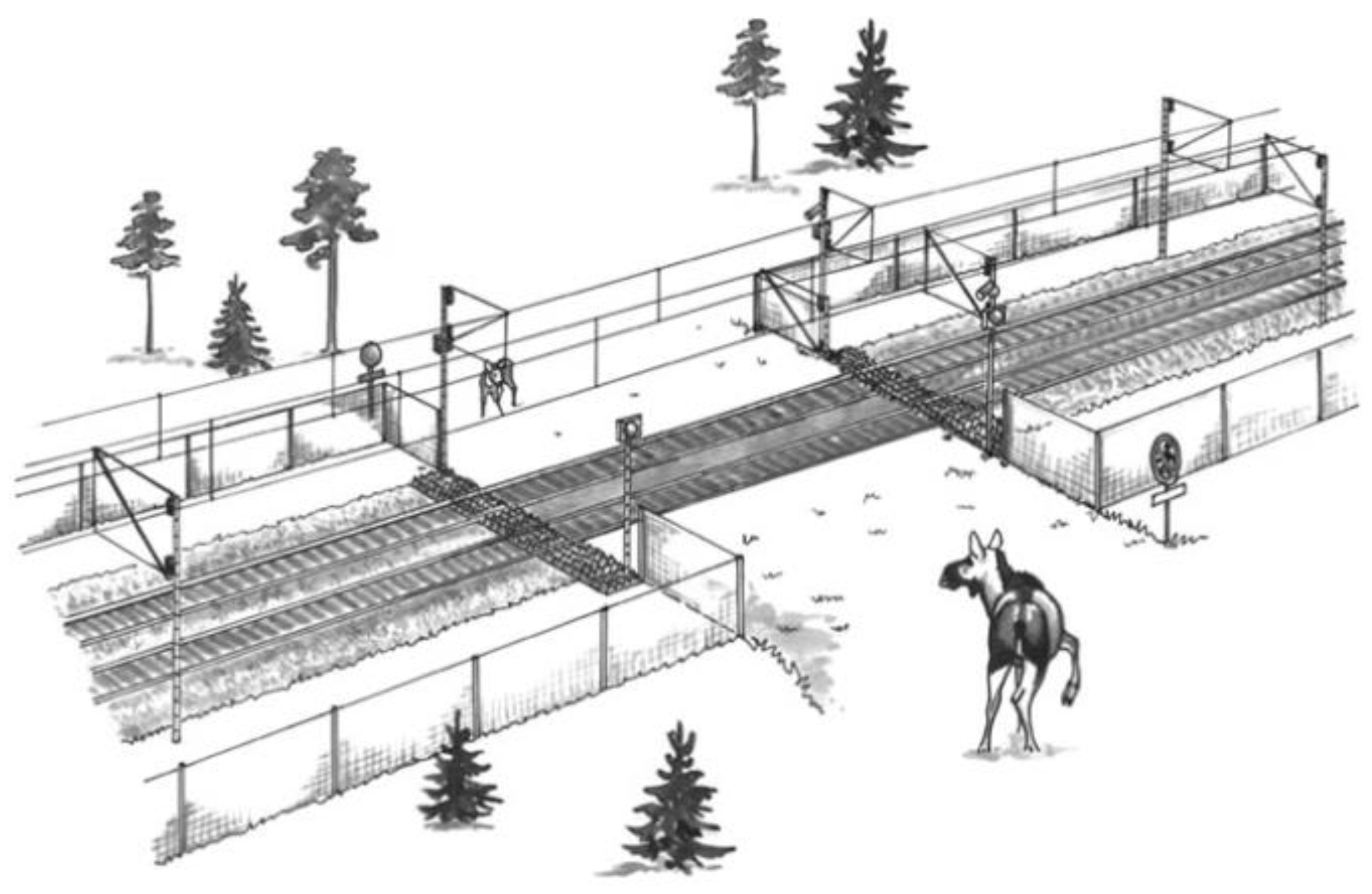 Sustainability 15 13754 g006 Sustainability 15 13754 g006