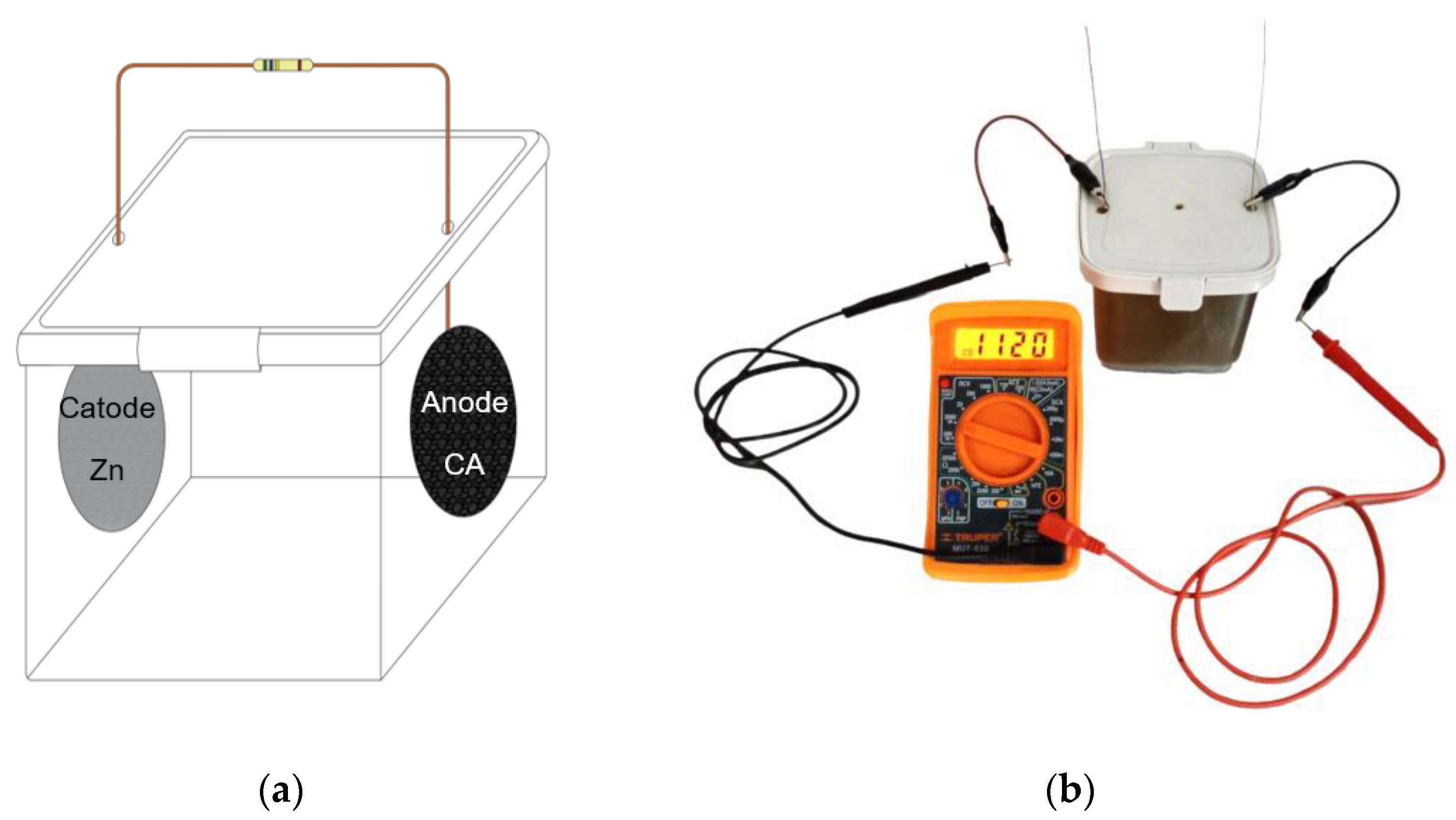 Sustainability 15 13767 g002