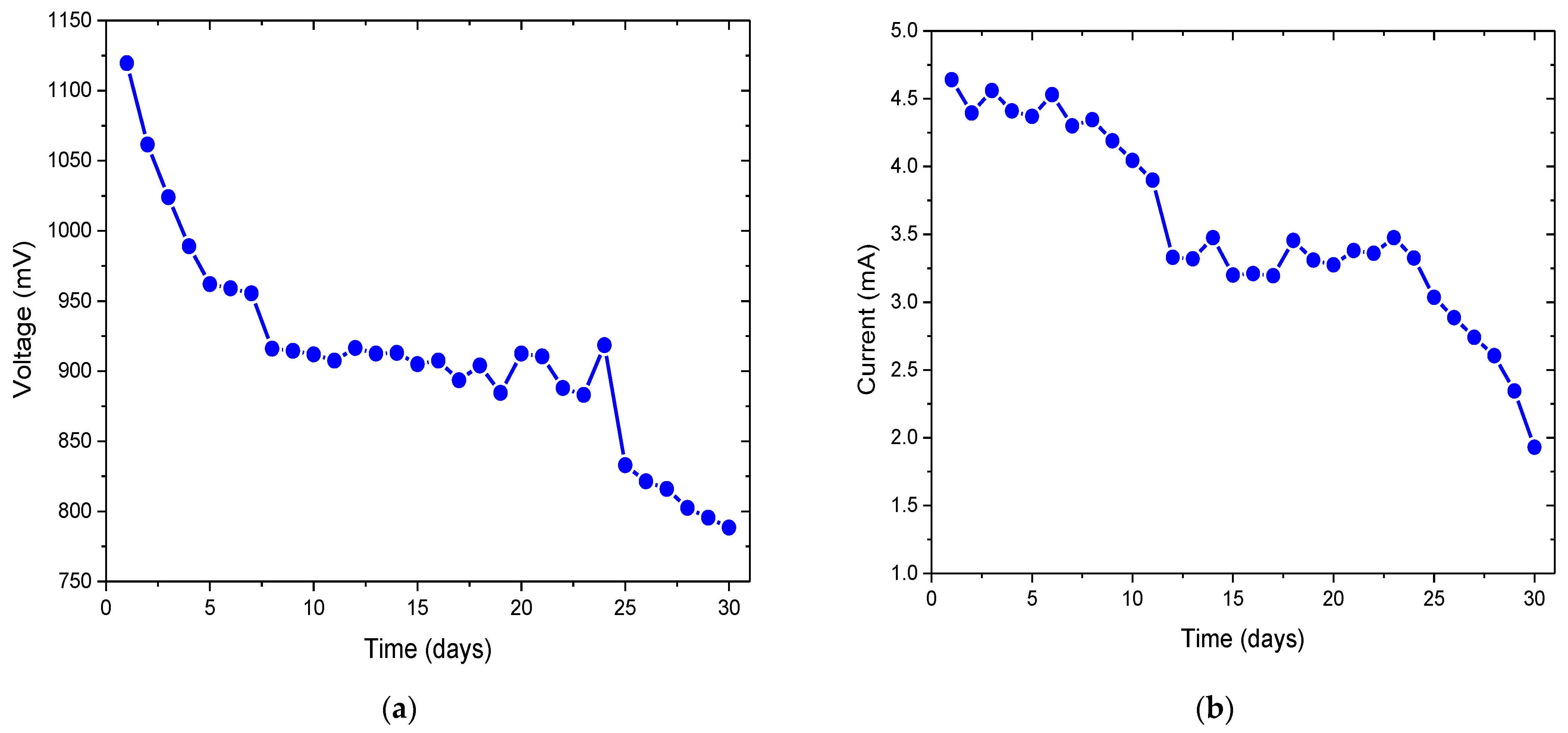 Sustainability 15 13767 g003