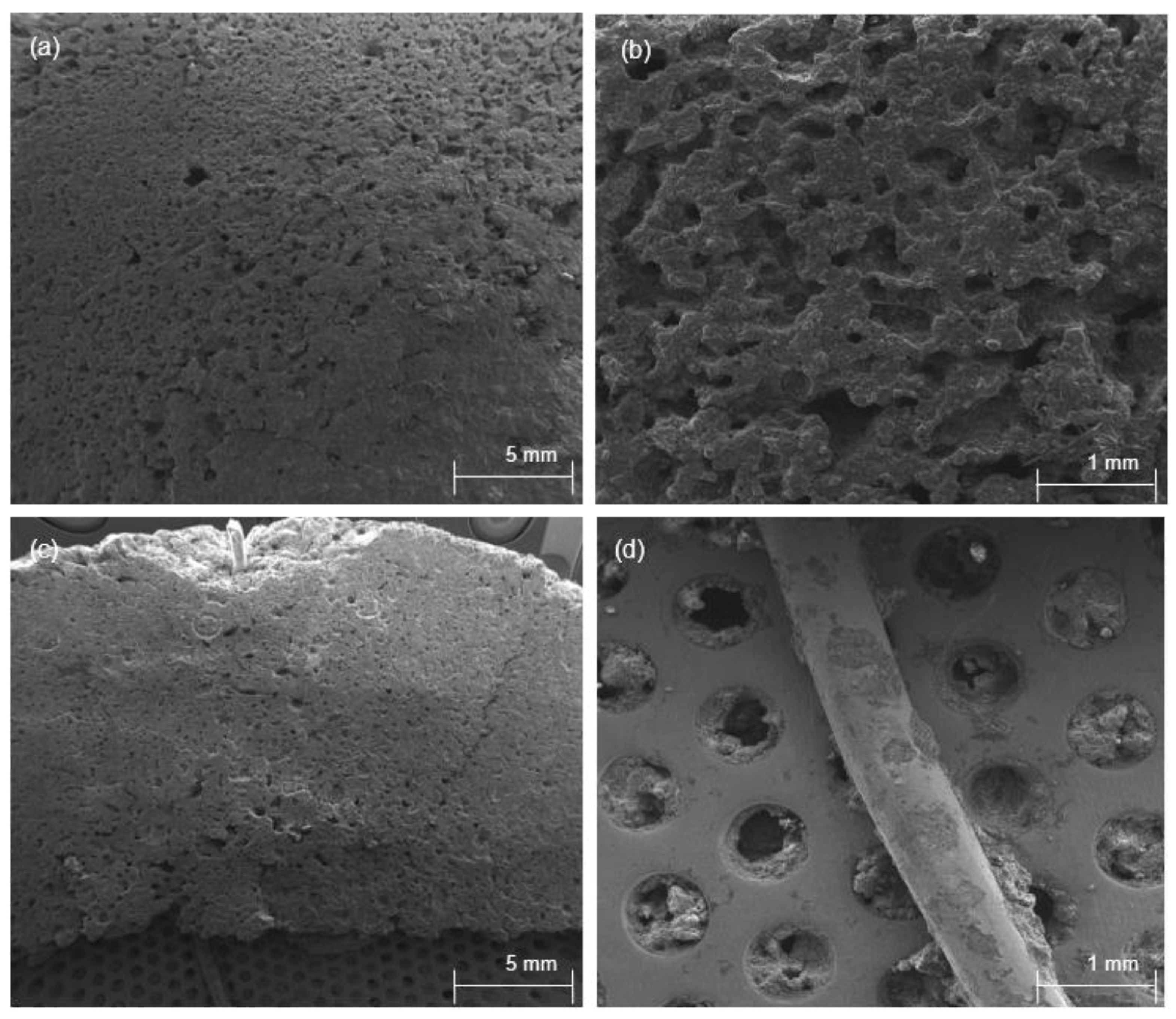 Sustainability 15 13767 g006