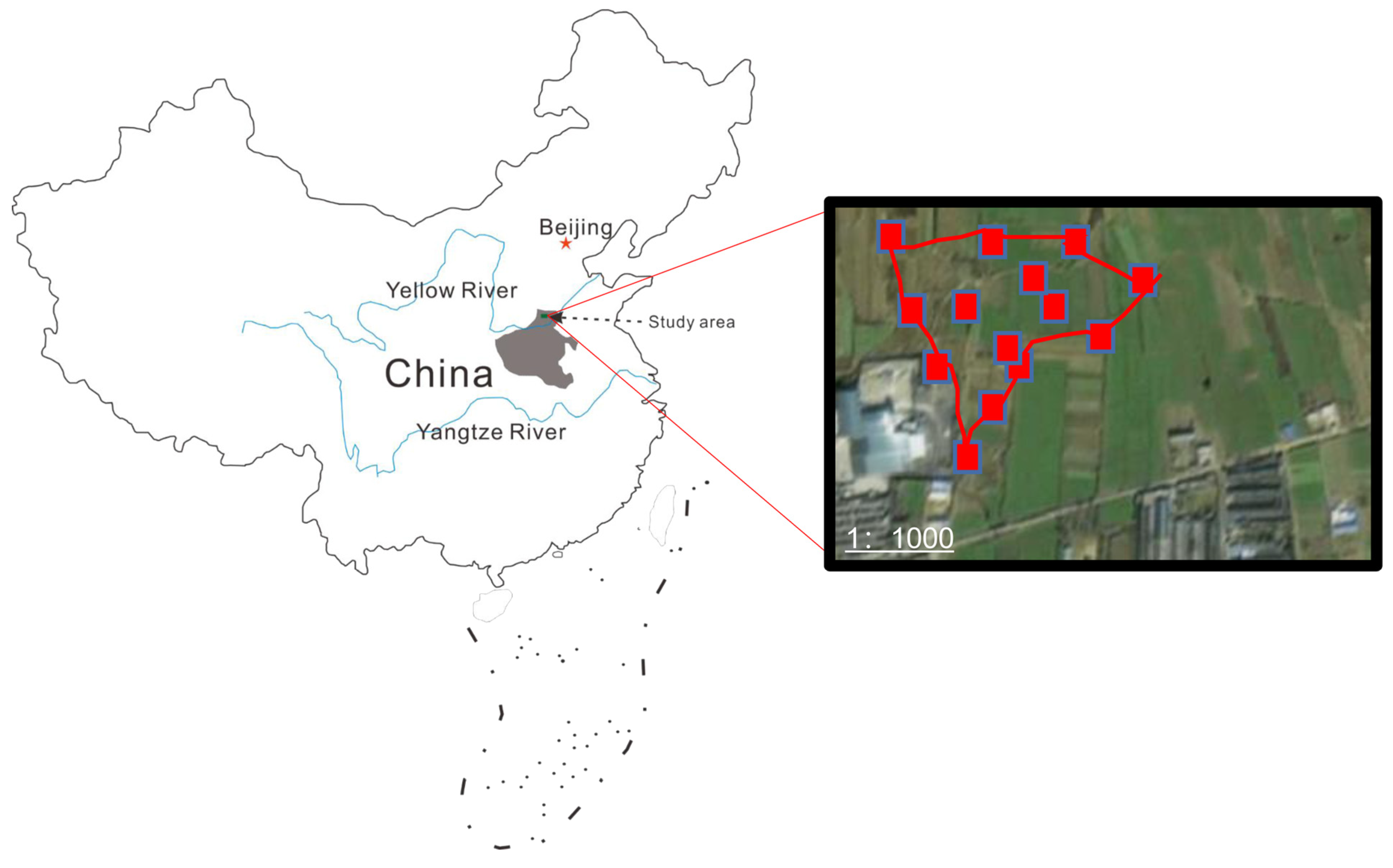 Sustainability 15 13772 g001