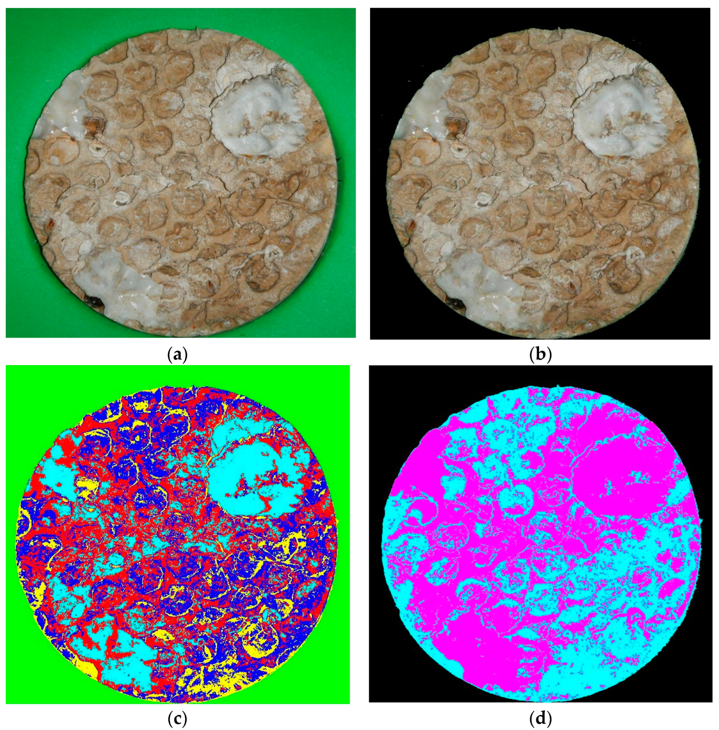 Sustainability 15 13780 g003