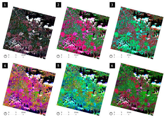 Sustainability 15 13786 g006