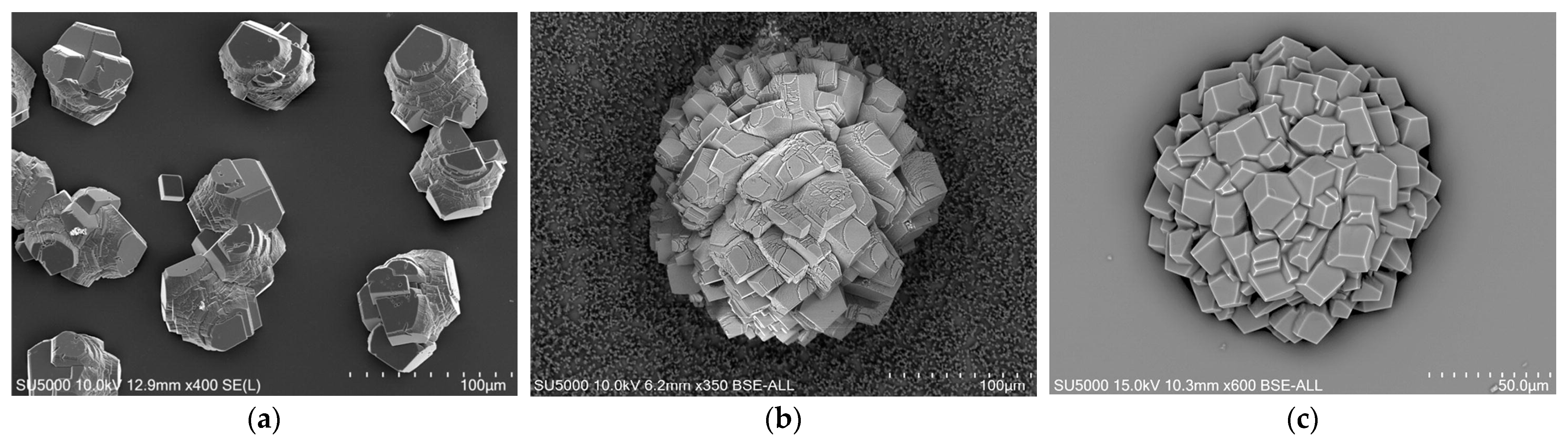 Sustainability 15 13869 g002