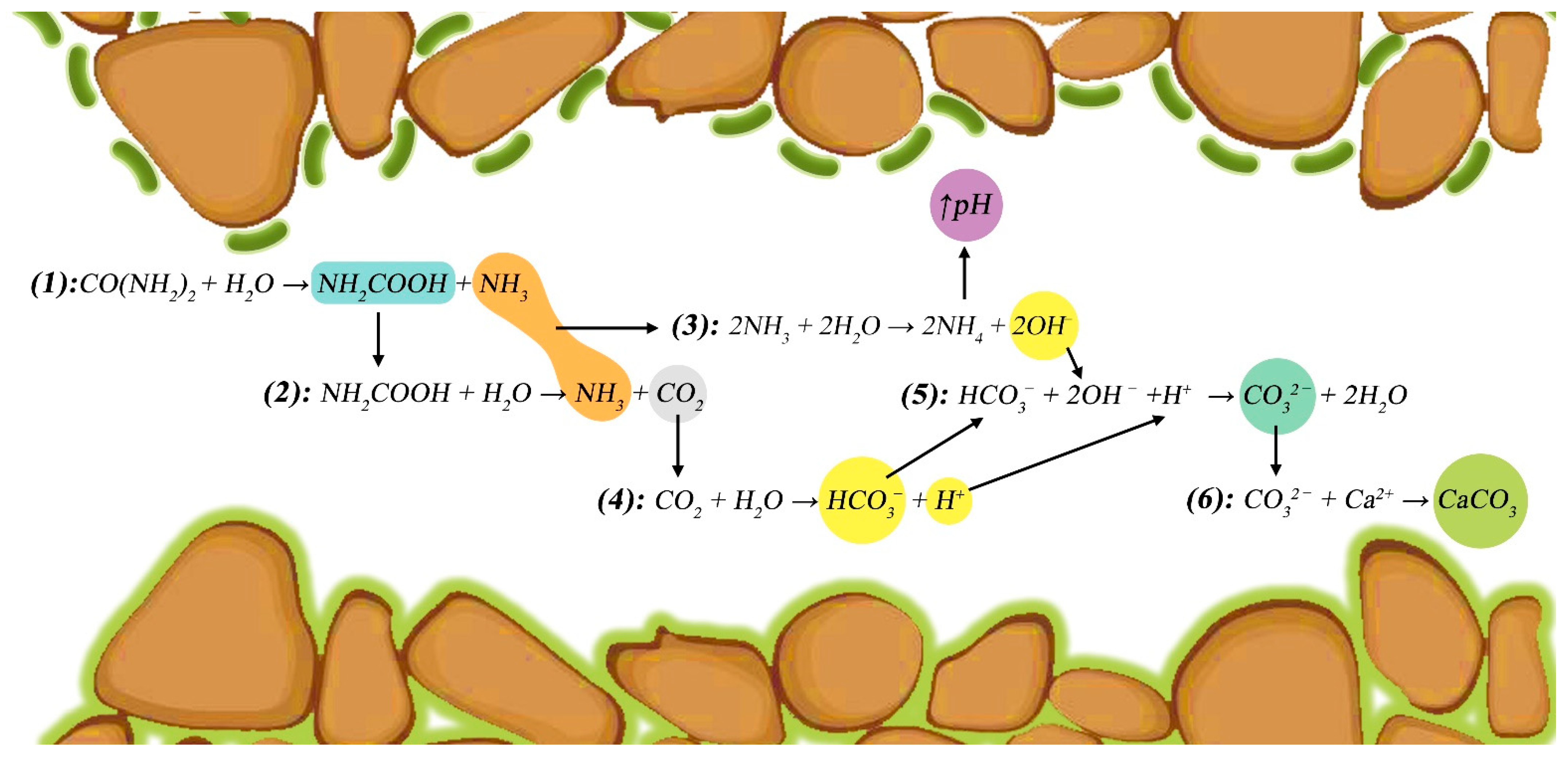 Sustainability 15 13869 g003