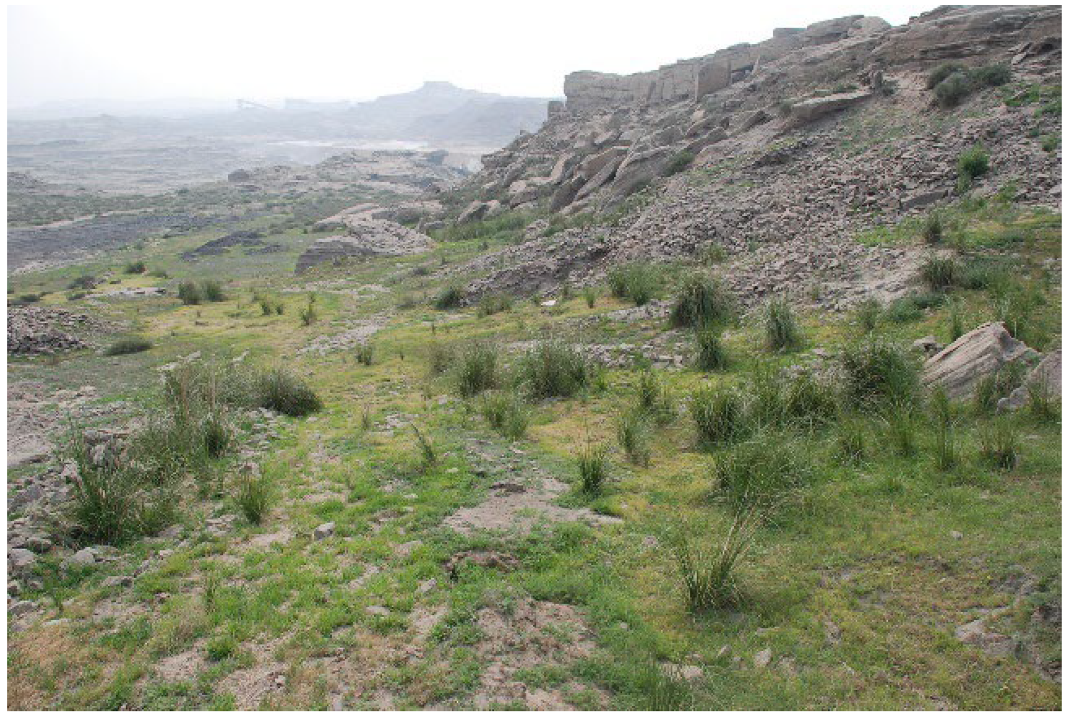 Sustainability 15 13974 g001