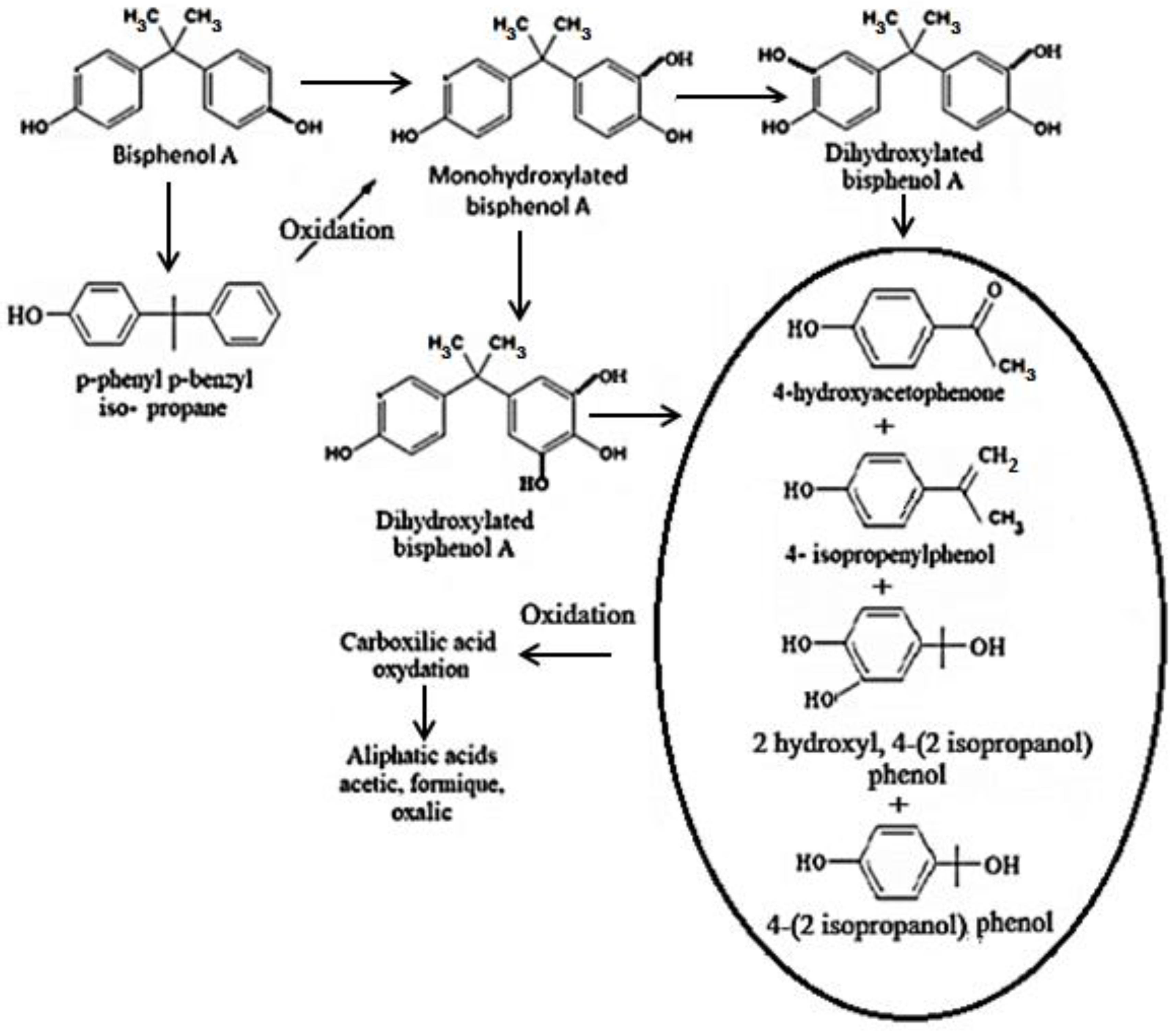 Sustainability 15 14058 g004