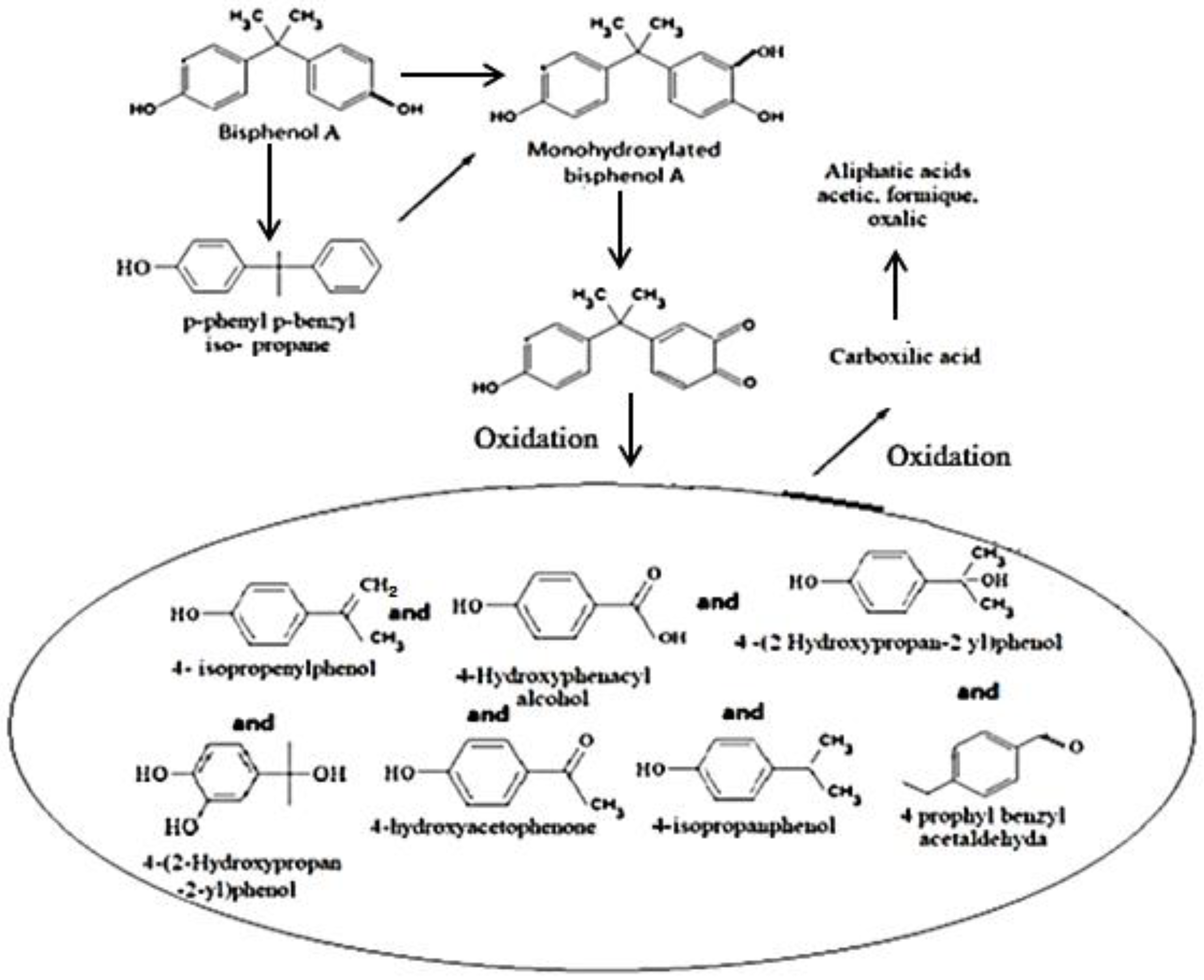Sustainability 15 14058 g010