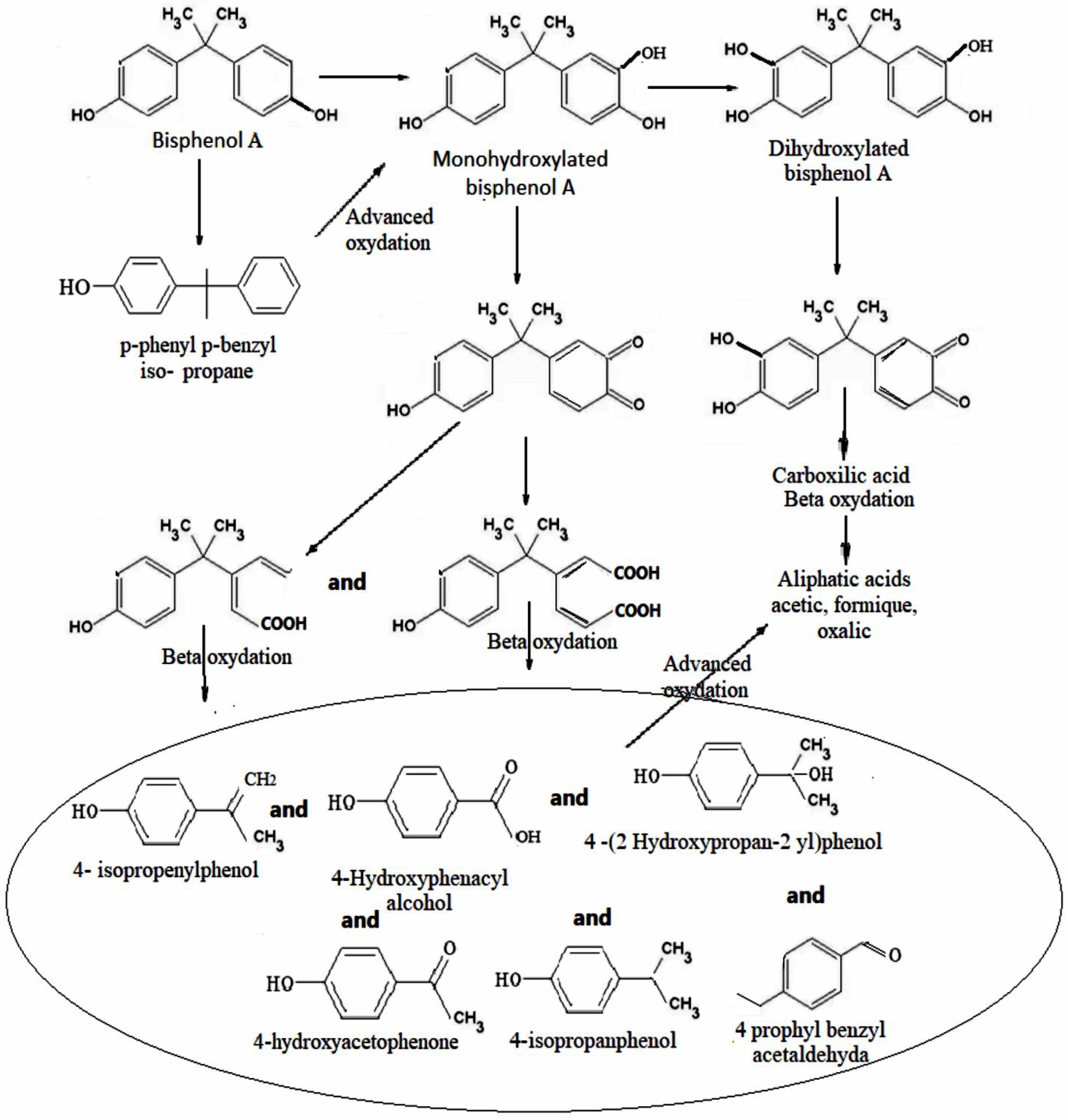 Sustainability 15 14058 g013