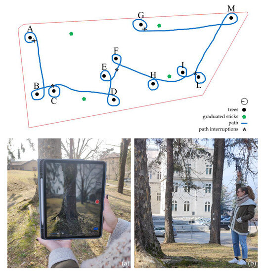 Sustainability 15 14072 g003