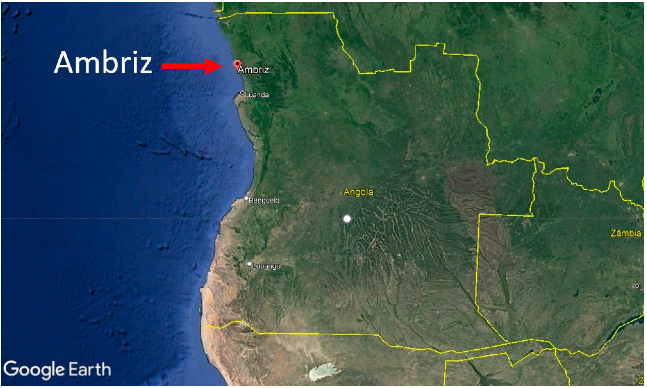 Sustainability 15 14155 g003