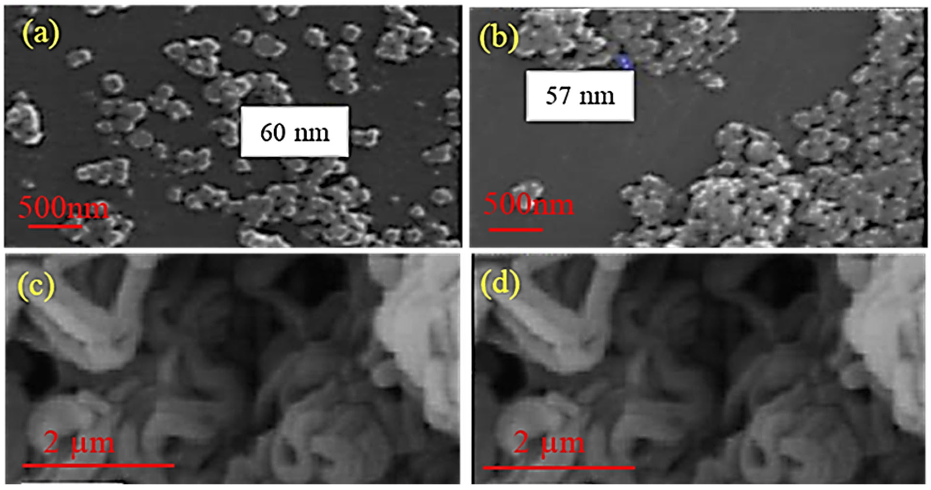 Sustainability 15 14183 g004