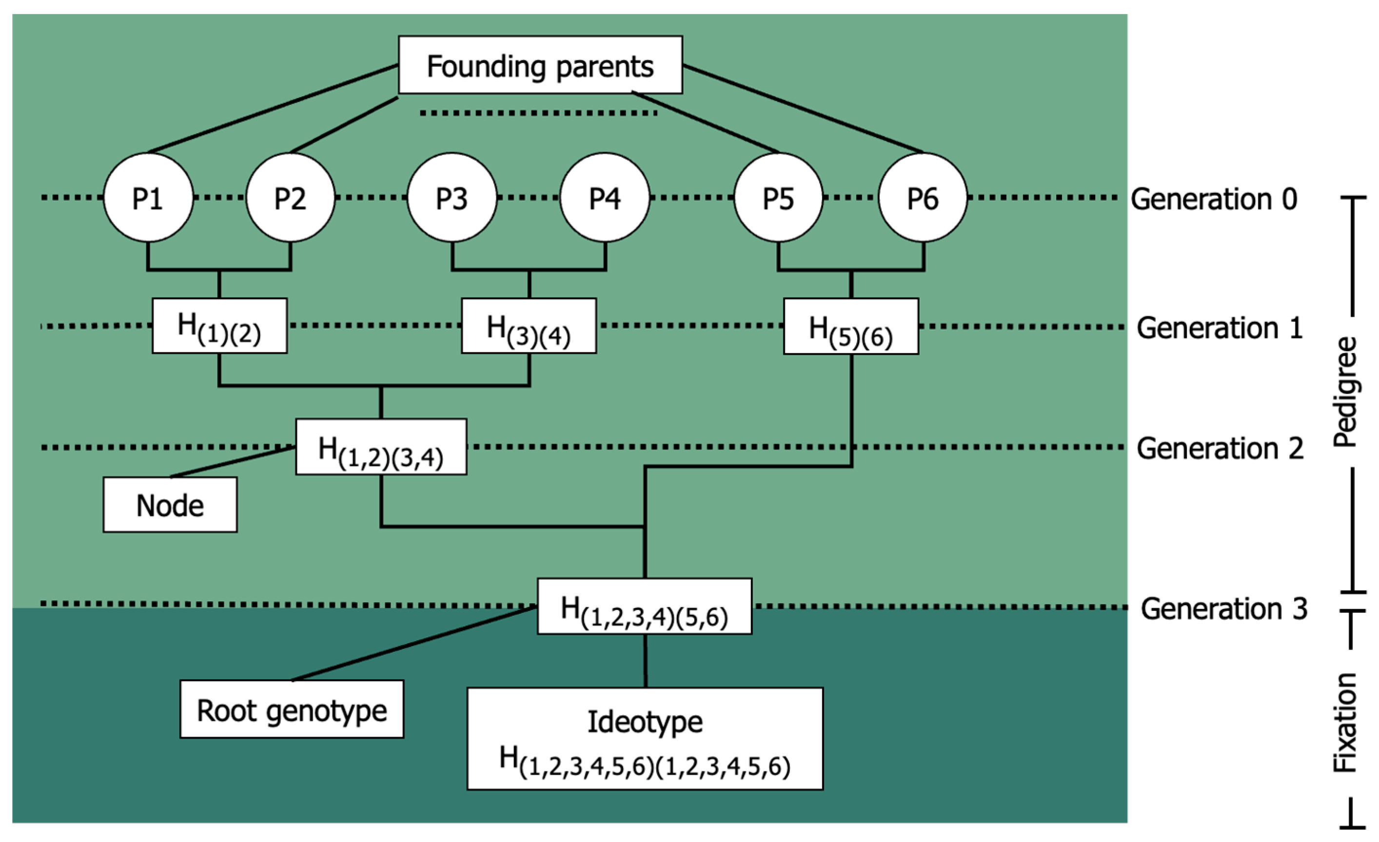 Sustainability 15 14253 g002