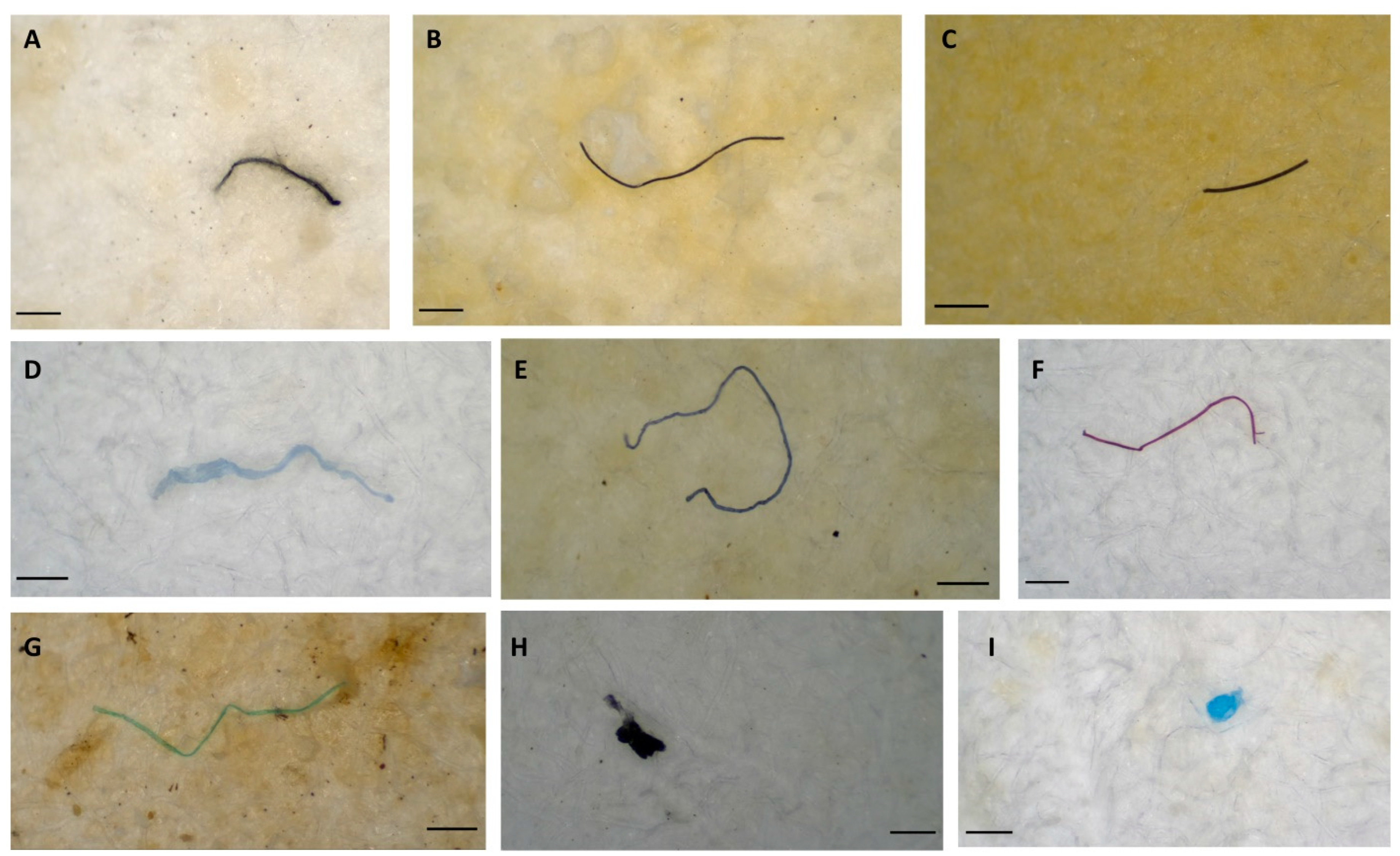 Sustainability 15 14255 g006
