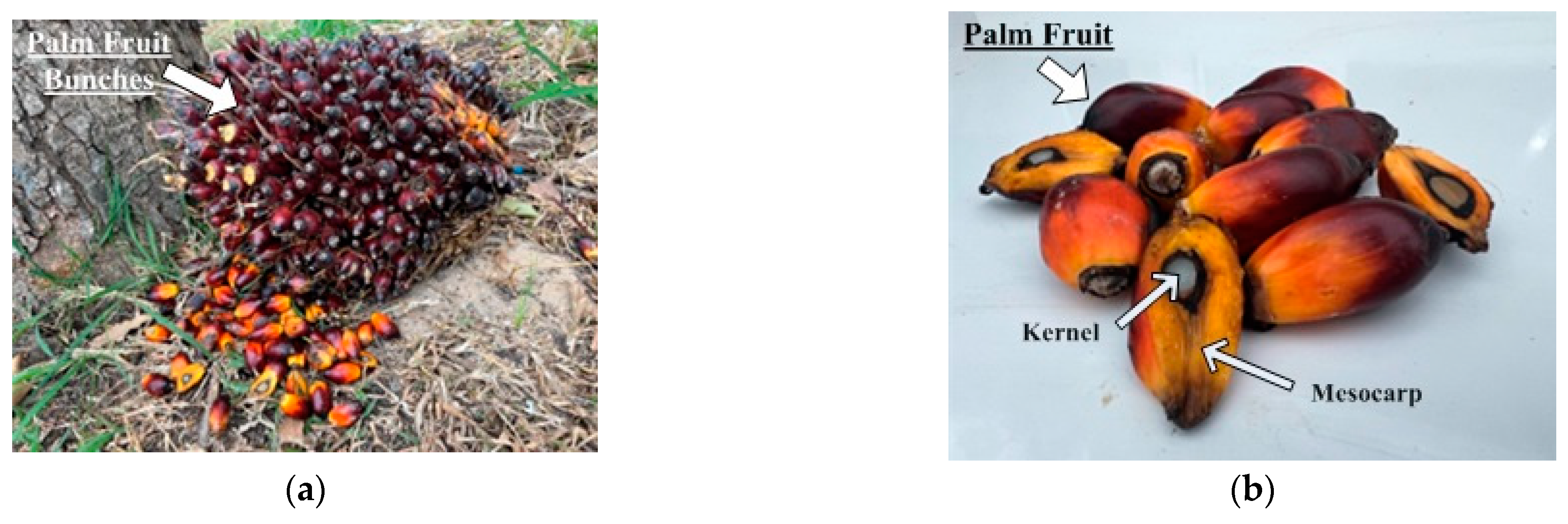 Sustainability 15 14269 g001