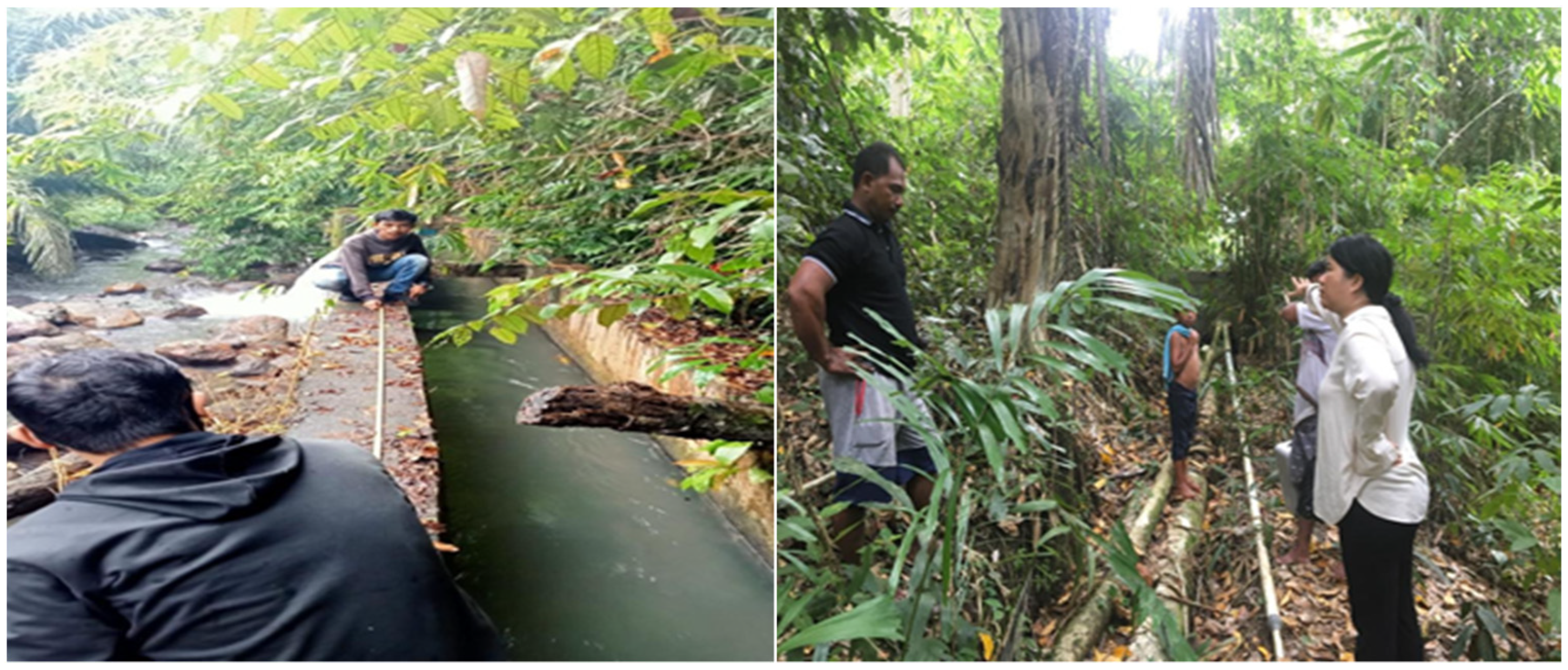 Sustainability 15 14285 g003