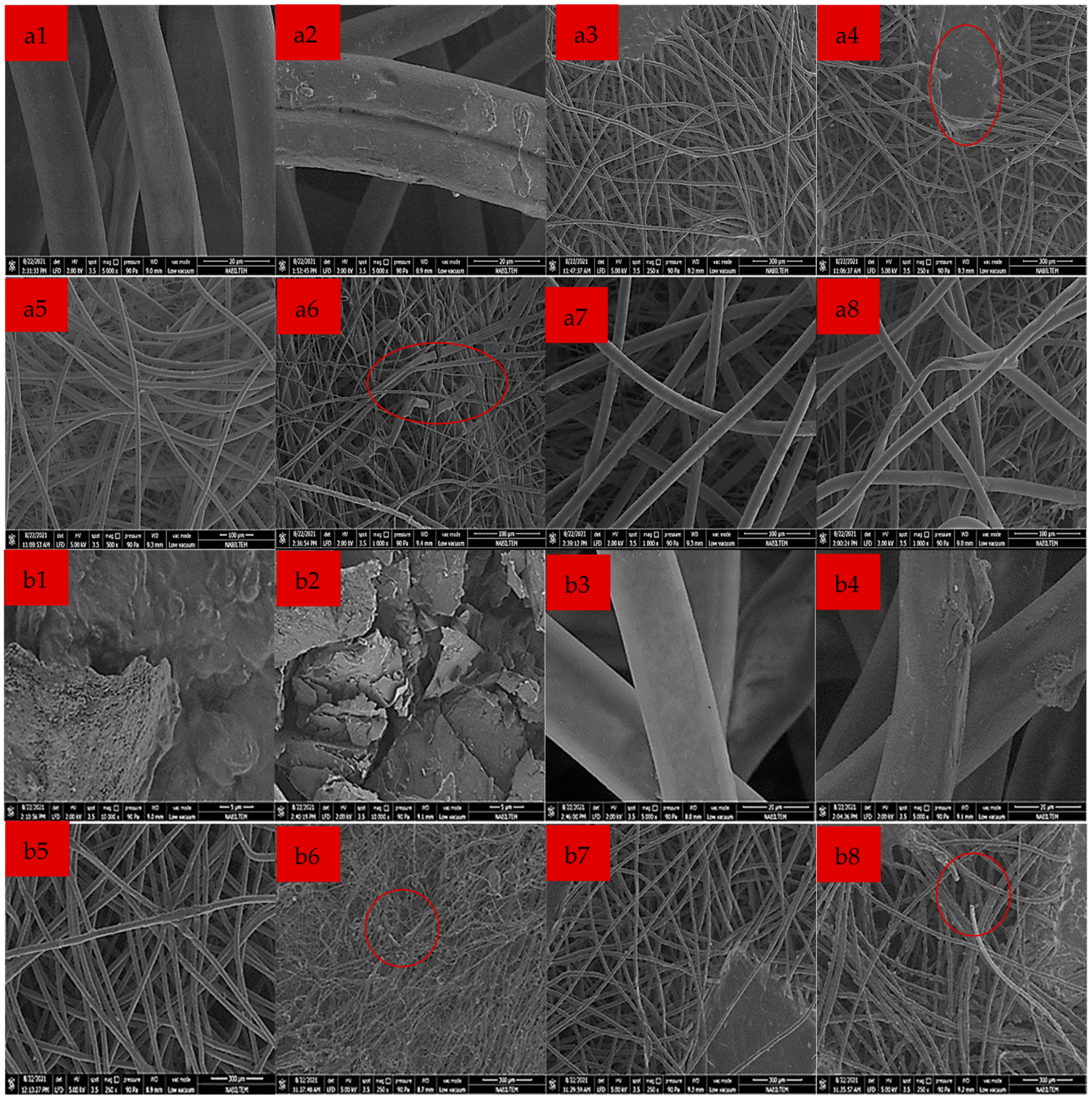 Sustainability 15 14293 g002