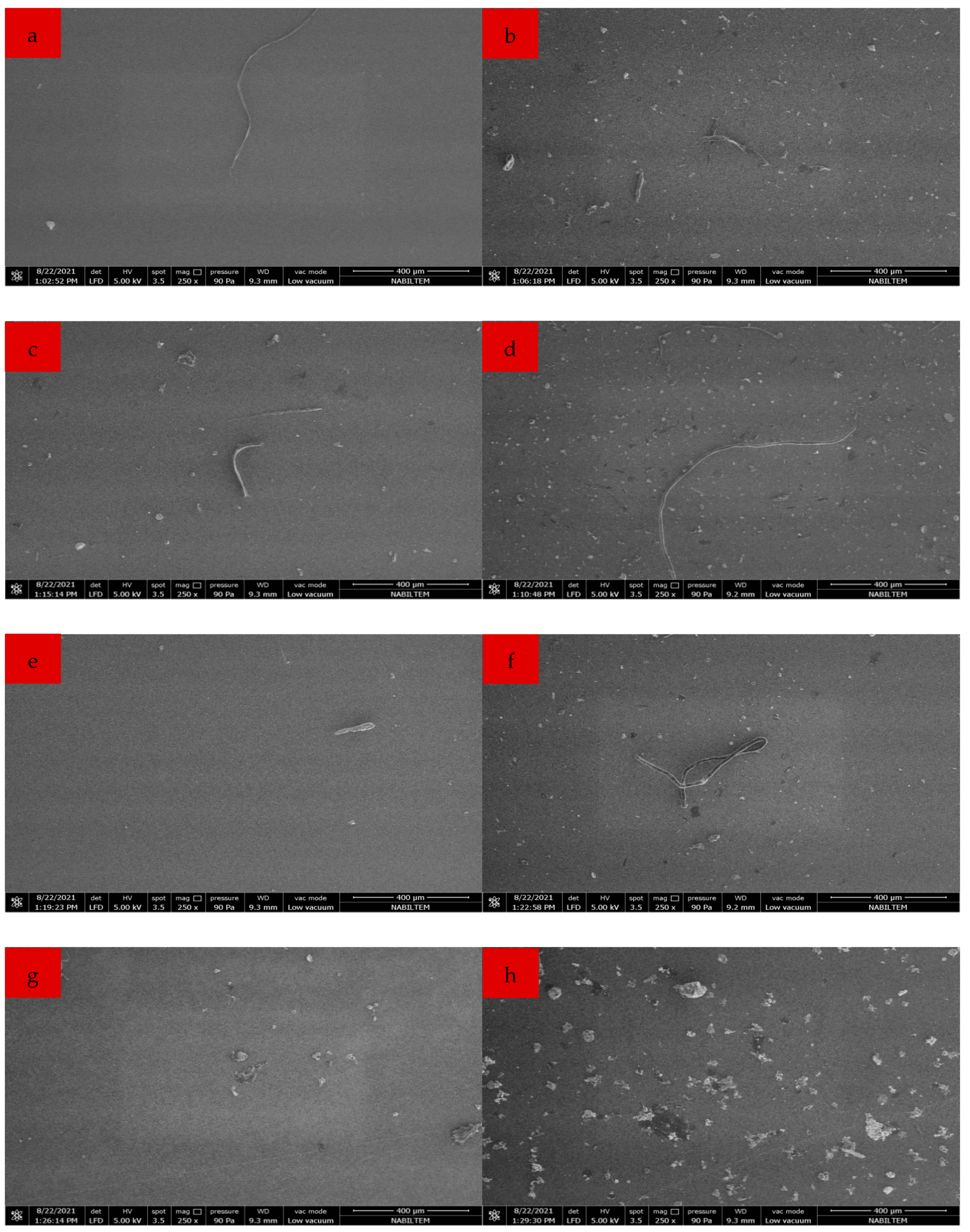 Sustainability 15 14293 g005