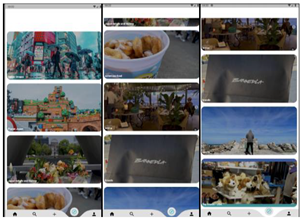 Sustainability 15 14447 i016