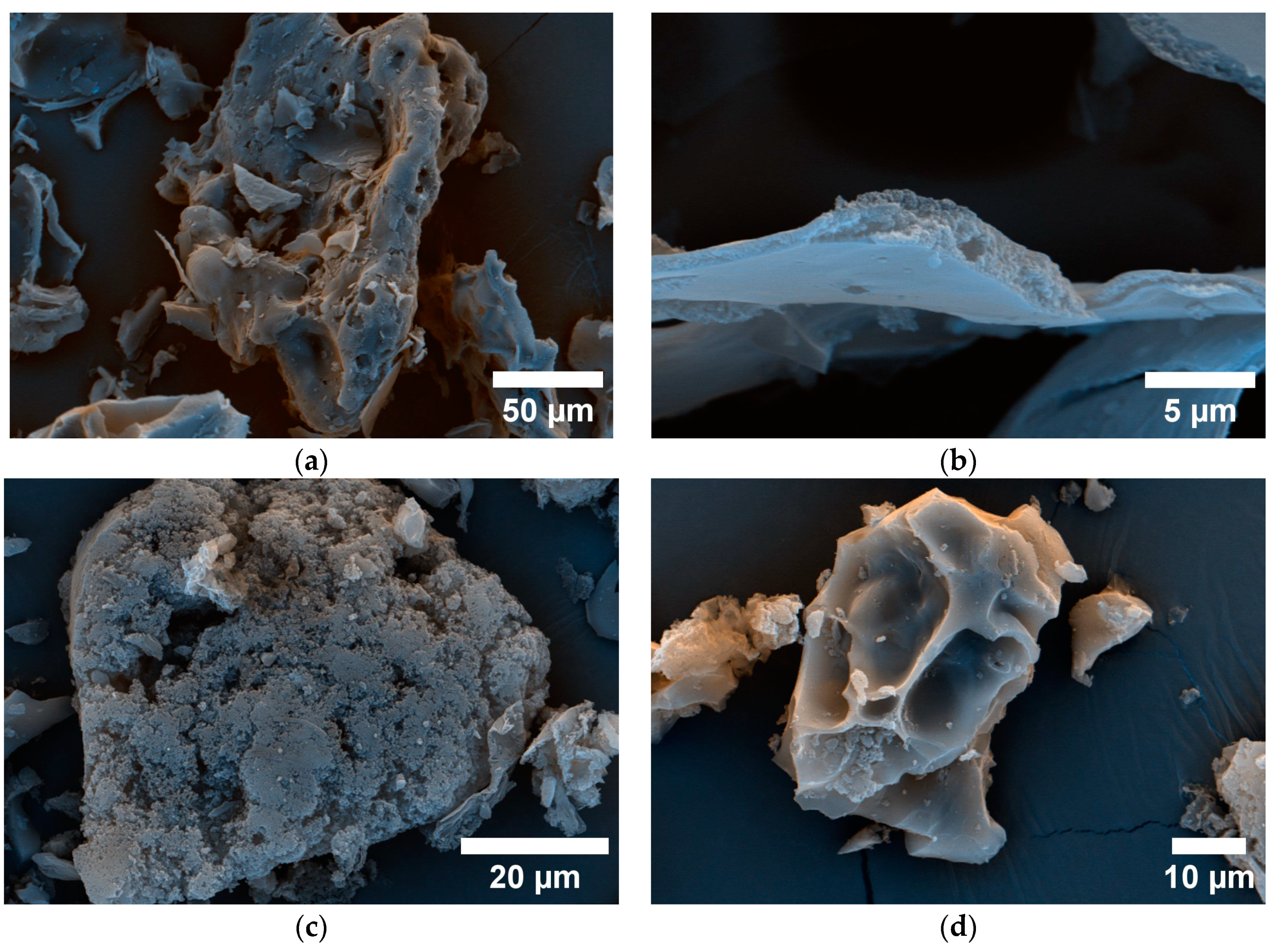 Sustainability 15 14578 g002