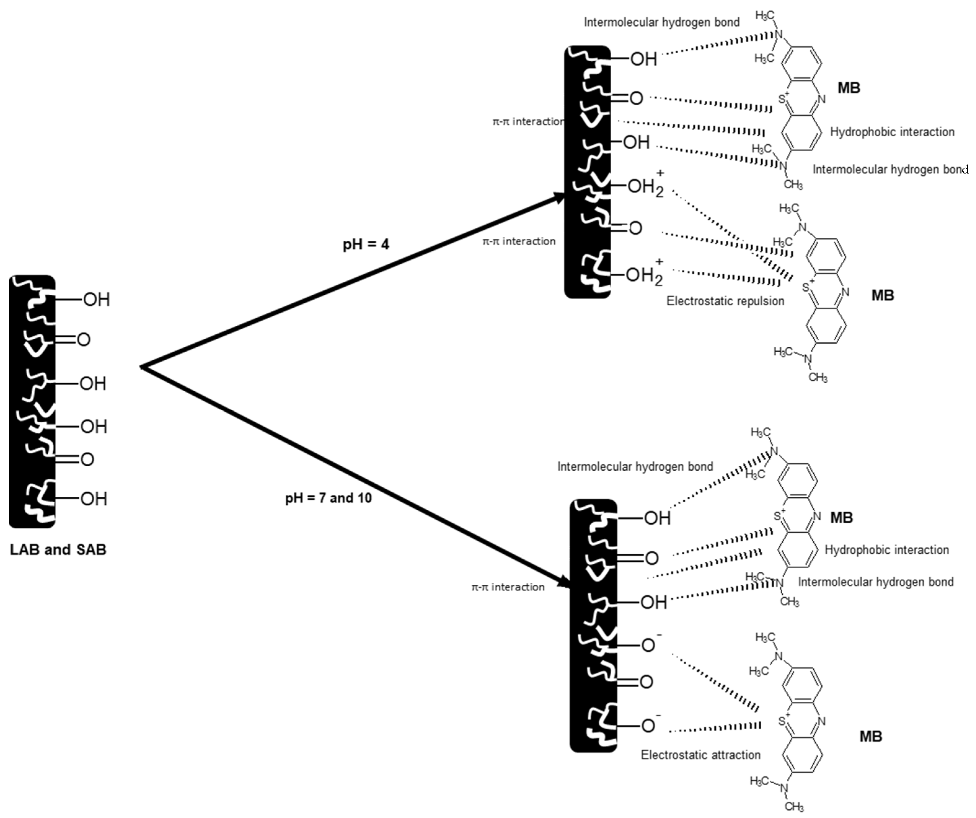 Sustainability 15 14578 g005