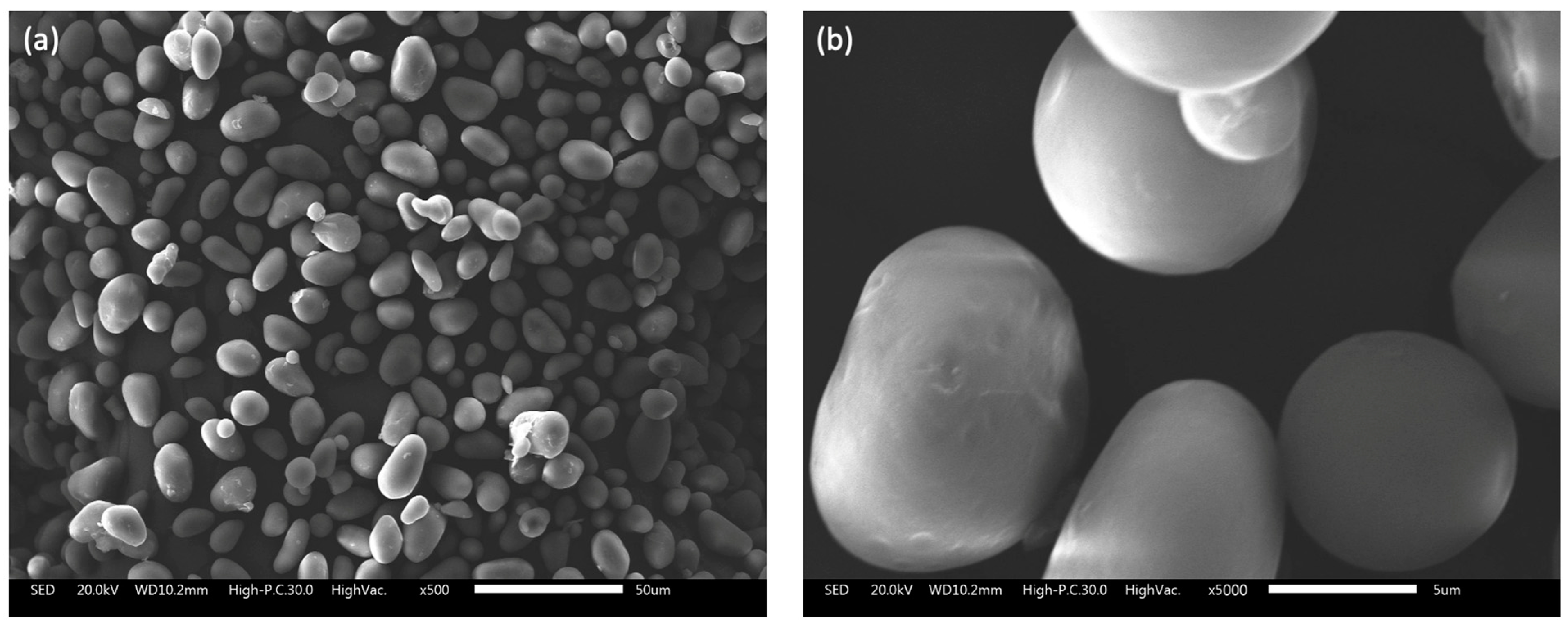 Sustainability 15 14583 g003