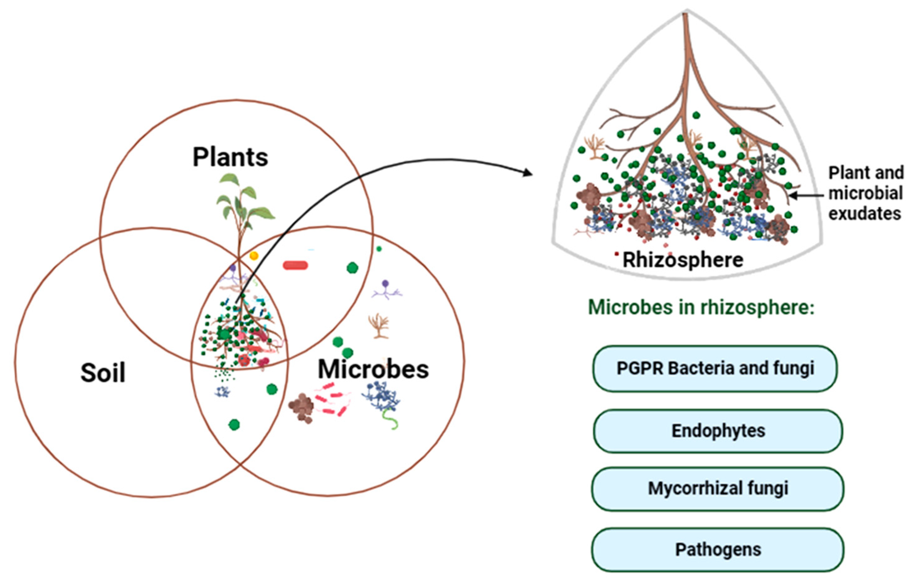 Sustainability 15 14643 g002