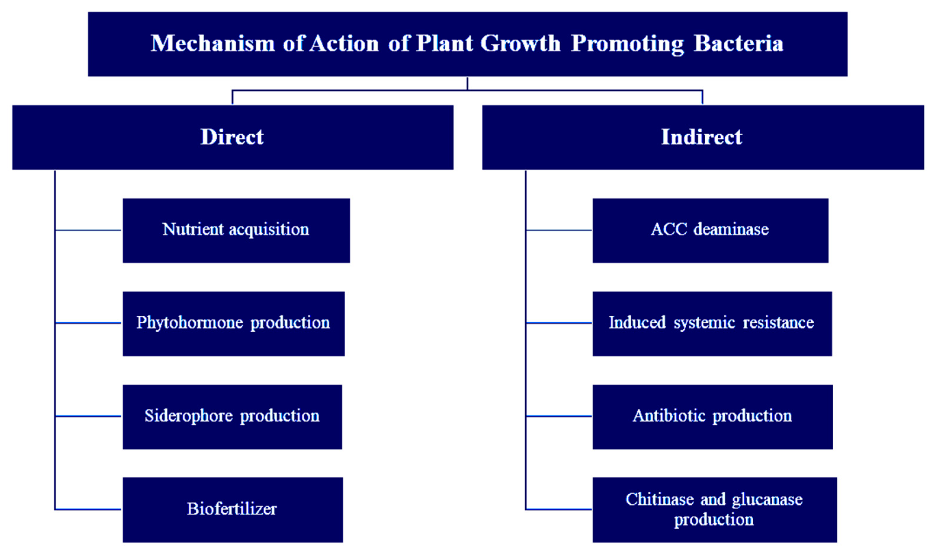 Sustainability 15 14643 g003