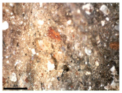 Sustainability 15 14685 i001